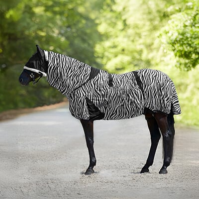 RS-KAT-Ekzemerdecken RS-KAT-Ekzemerdecken