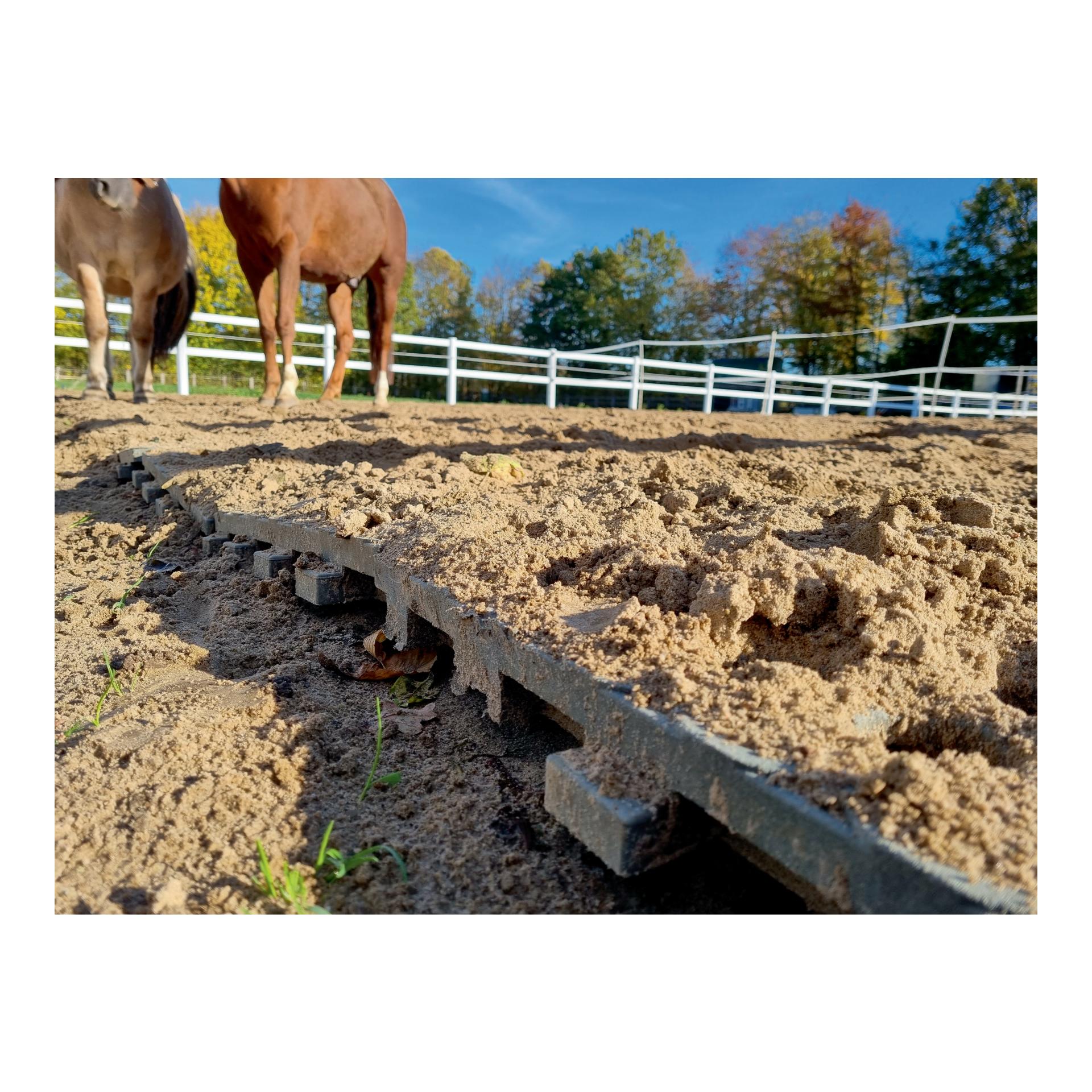 Hauptner Dalle INB Paddock