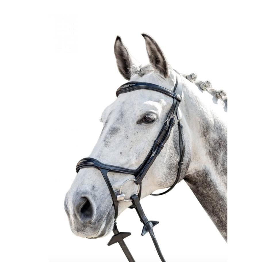 Trensenzaum mit Double Drop Reithalfter - schwarz