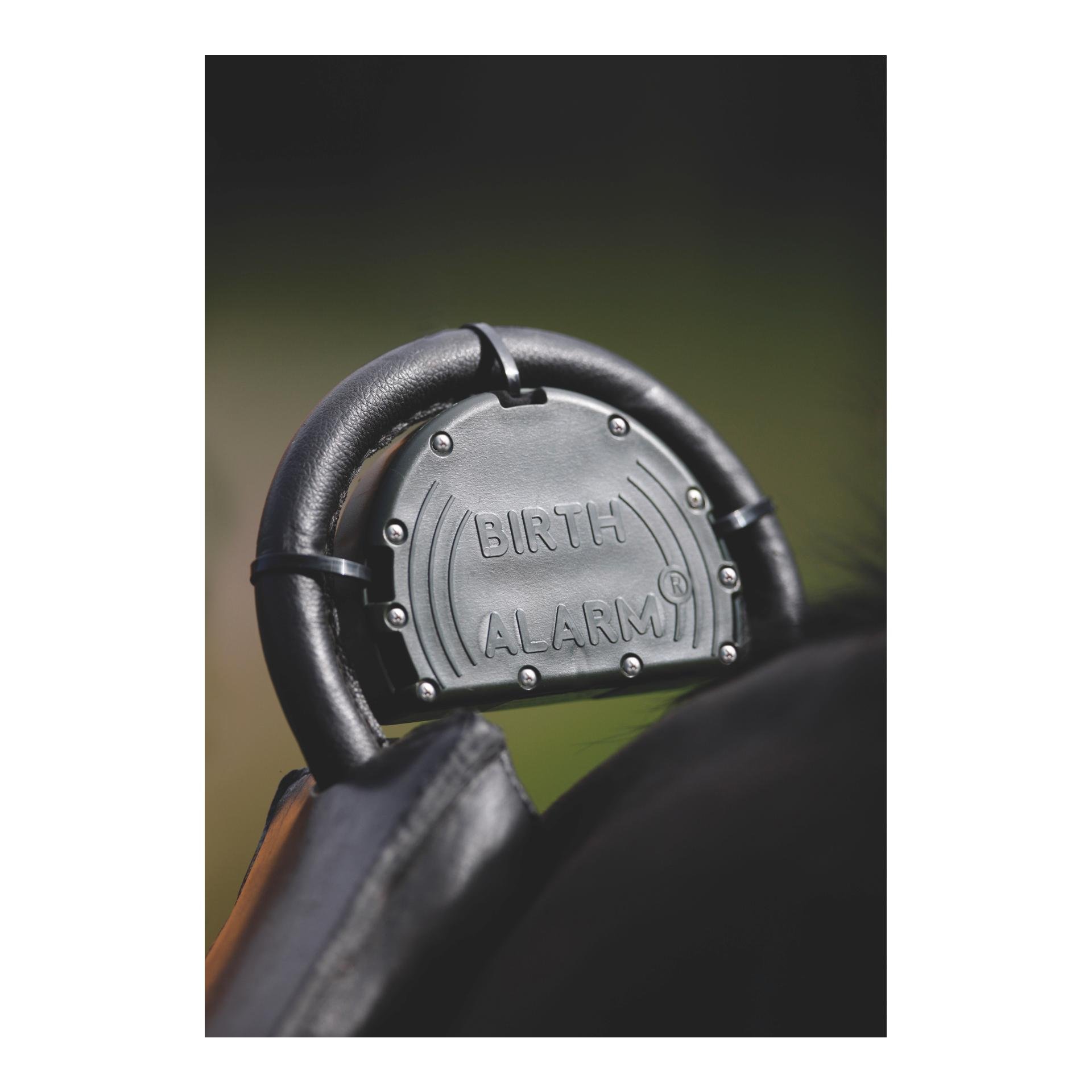 Birth Alarm Set - Birth Alarm Mobile 2.0 inkl. Überrollbügel