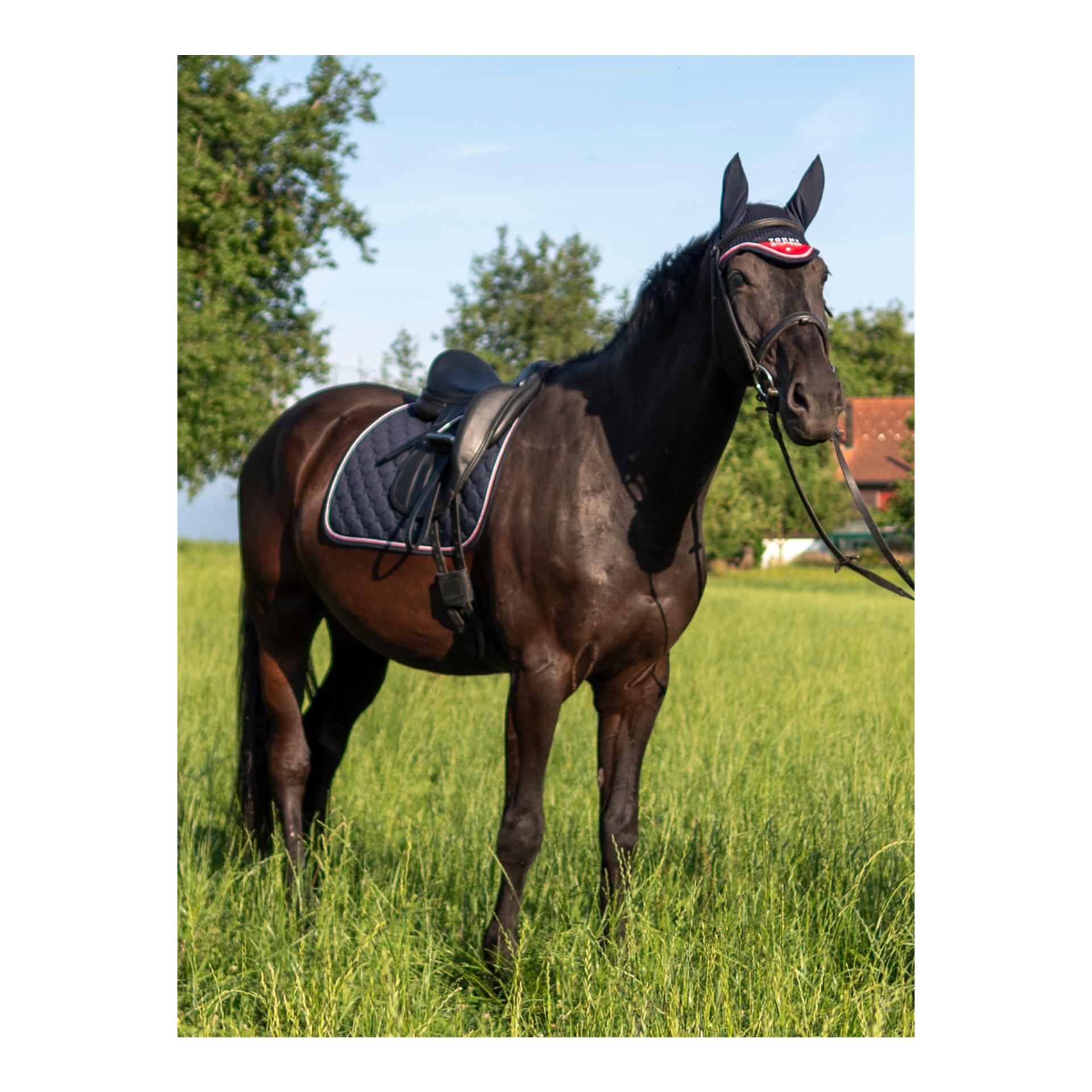 Tommy Hilfiger Equestrian Schabracke Dressur Kingston