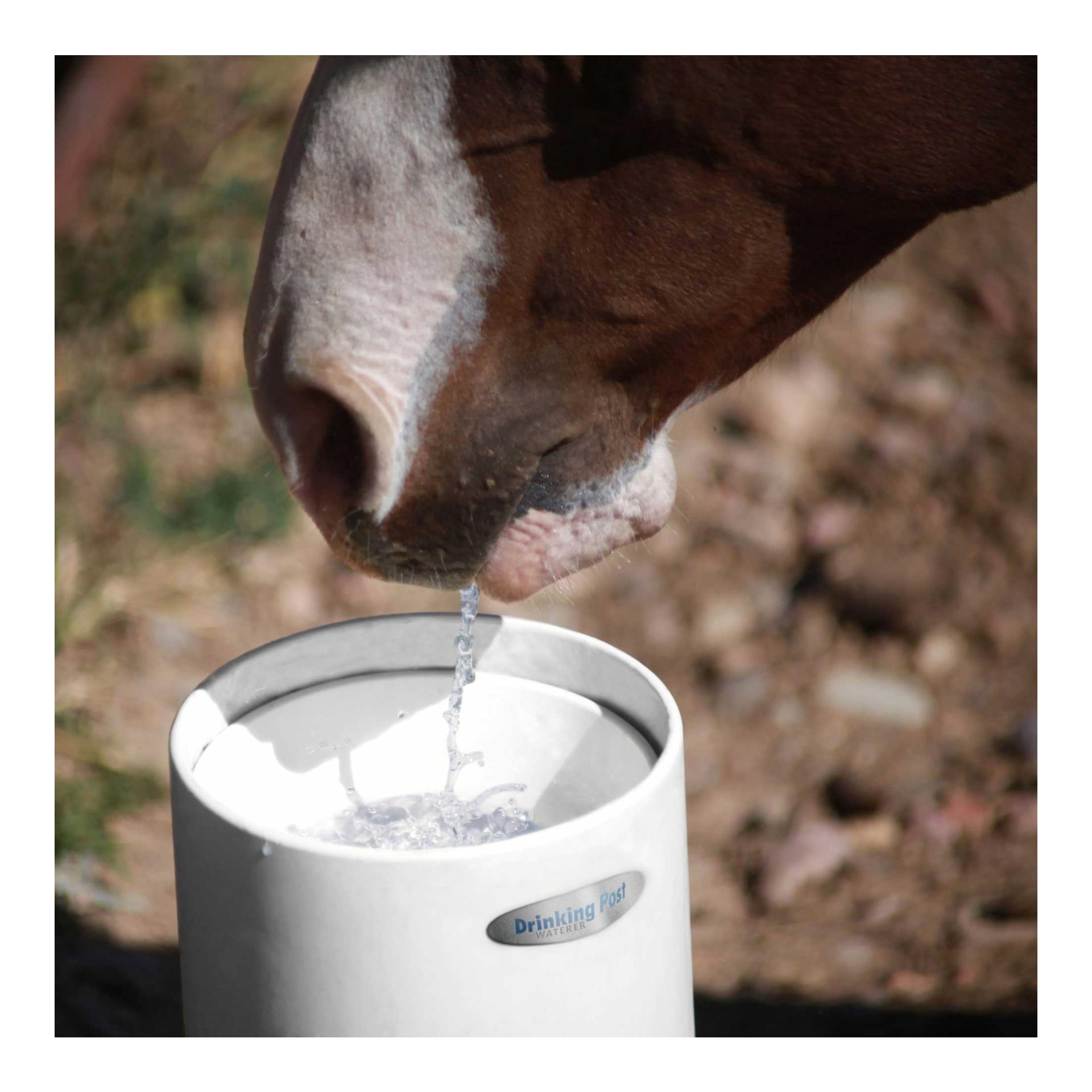 Lister DRINKING POST Abreuvoirs résistants au gel sans électricité