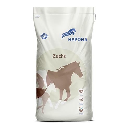 H 786 Zucht H 786 Zucht