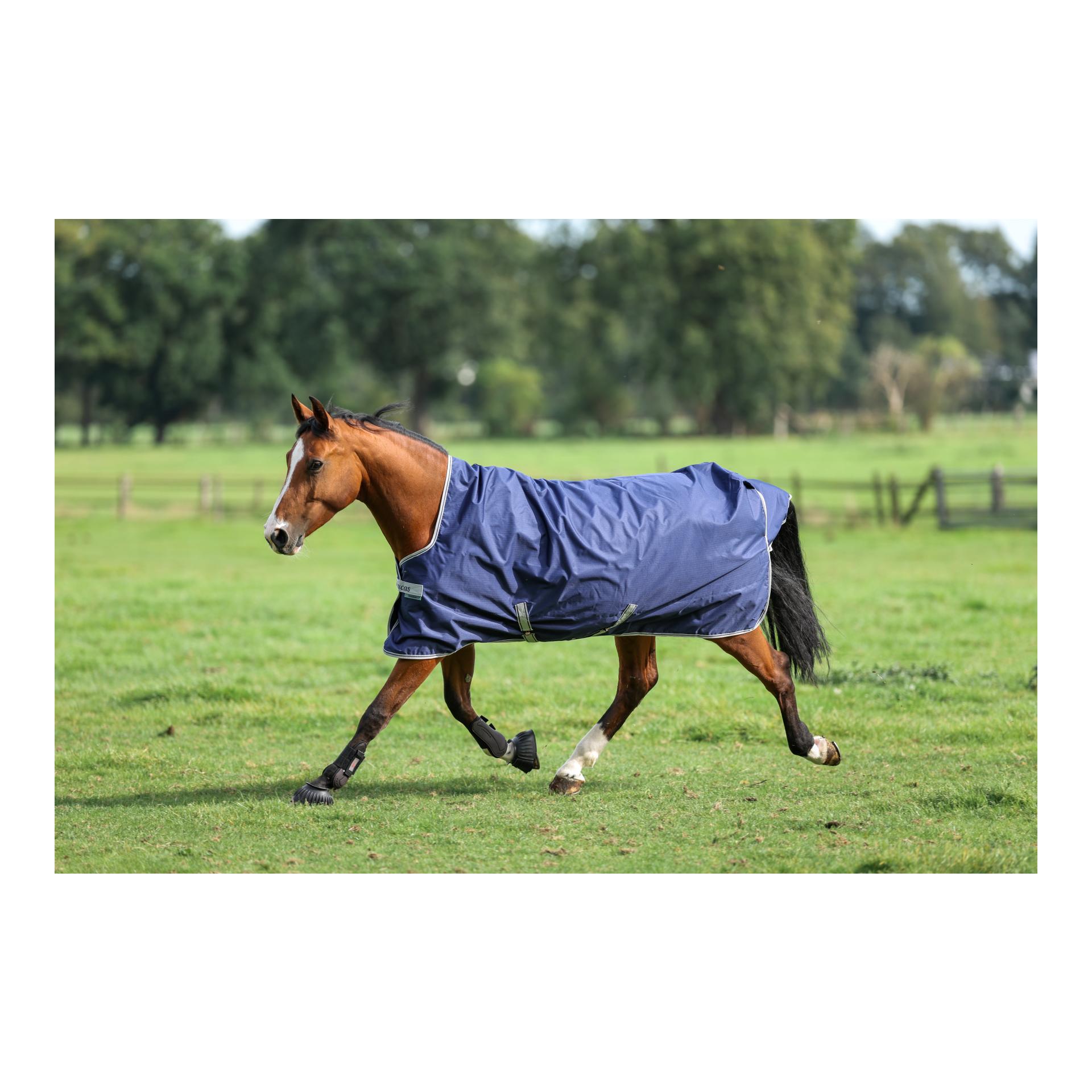 Bucas Couverture d'extérieur Freedom Turnout High Neck 150g - navy/silver