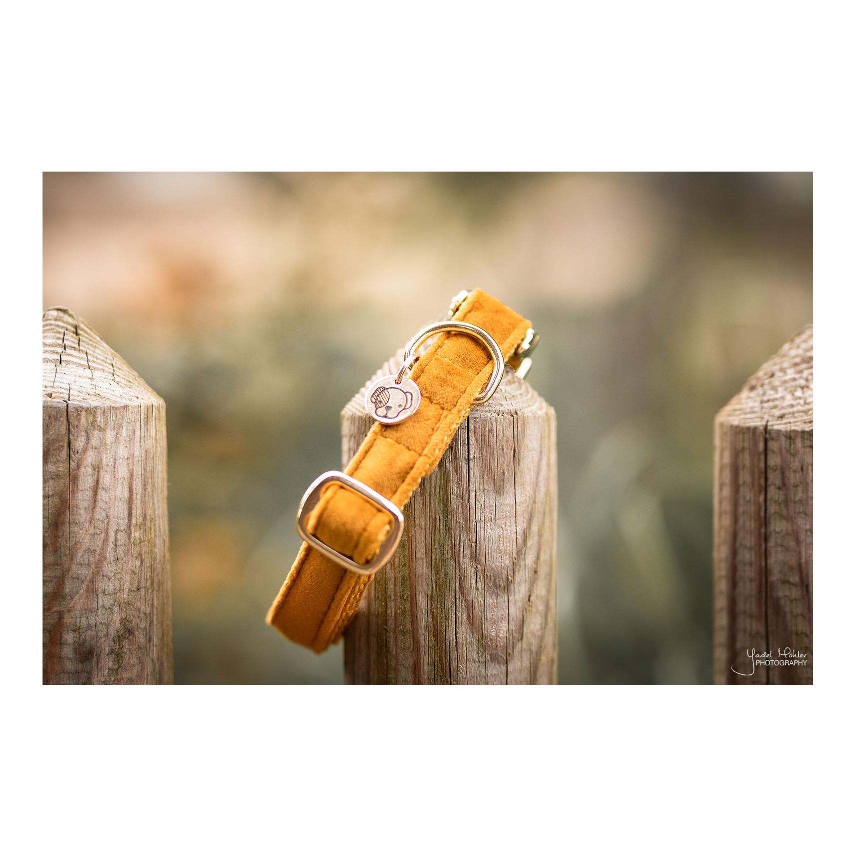Hundehalsband Velvet - mustard Hundehalsband Velvet - mustard