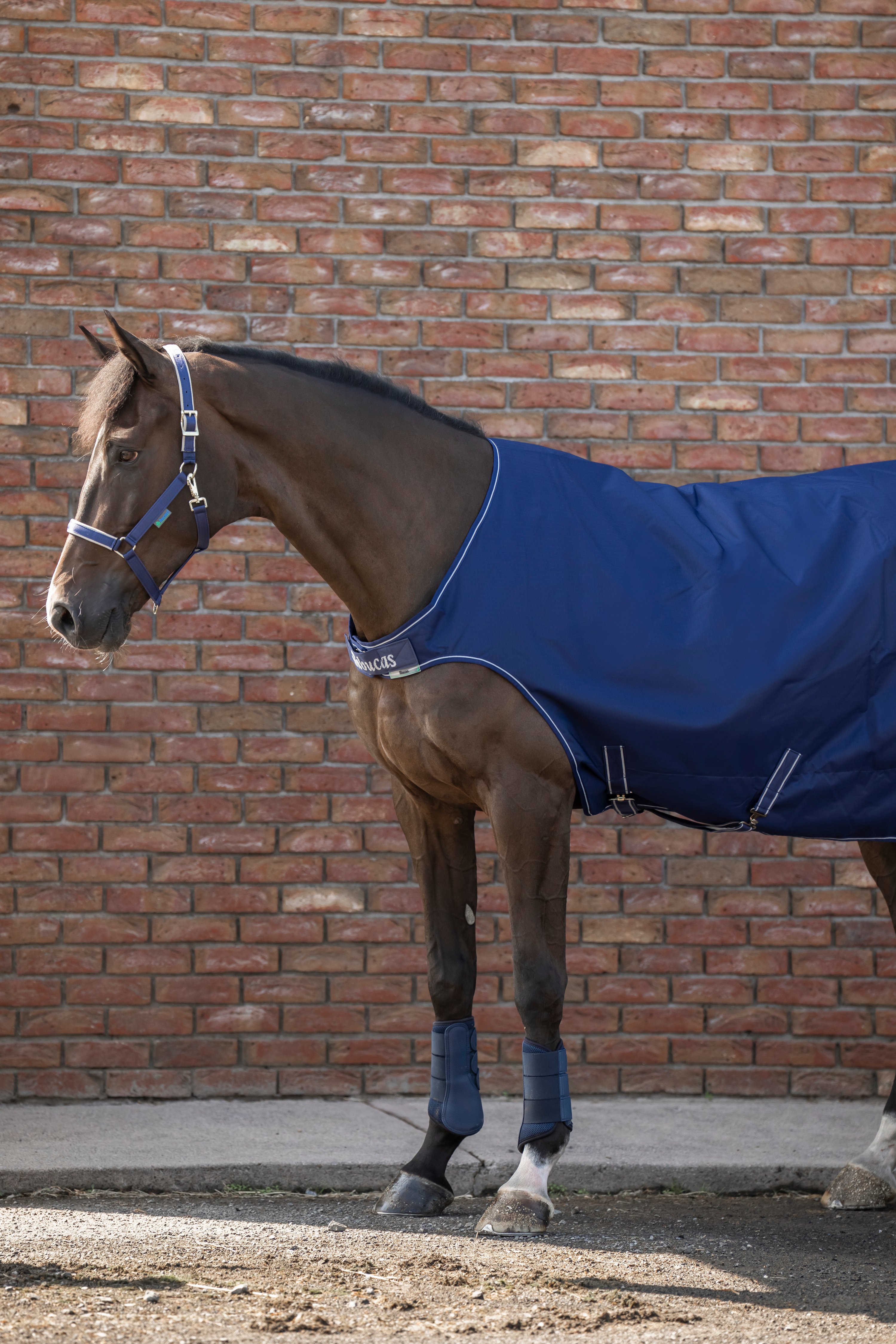 Bucas Chemise de marcheur cheval Irish Walker doublure silk feel – navy