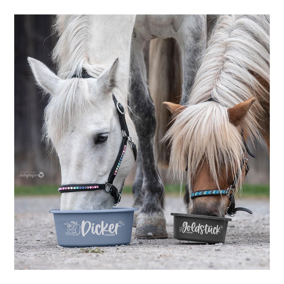 Futterschüssel "Dicker" - Schüssel einzeln