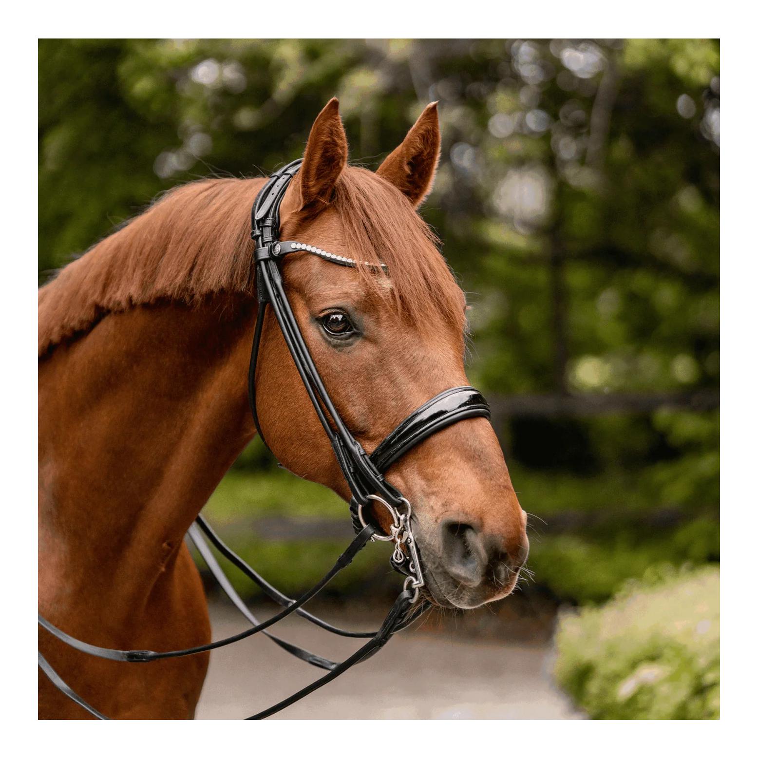 Sprenger Unterlegtrense KK ULTRA 14mm doppelt gebrochen Sensogan