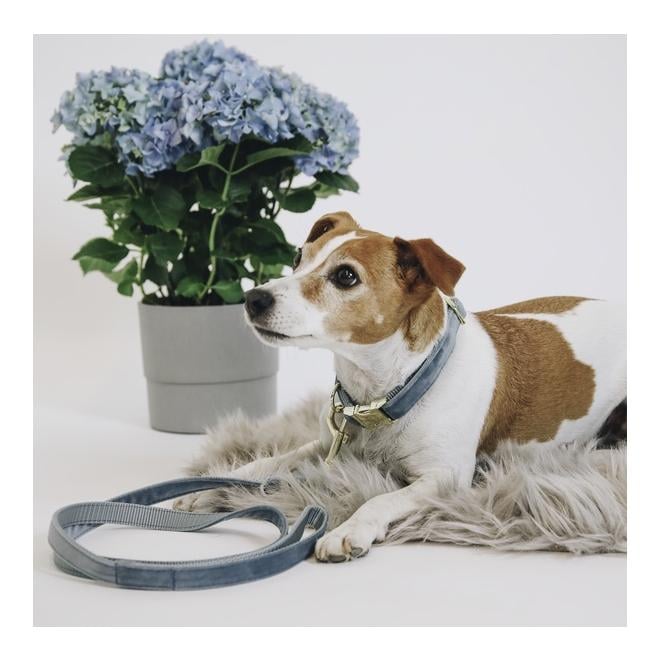 Hundeleine Velvet - light blue Hundeleine Velvet - light blue