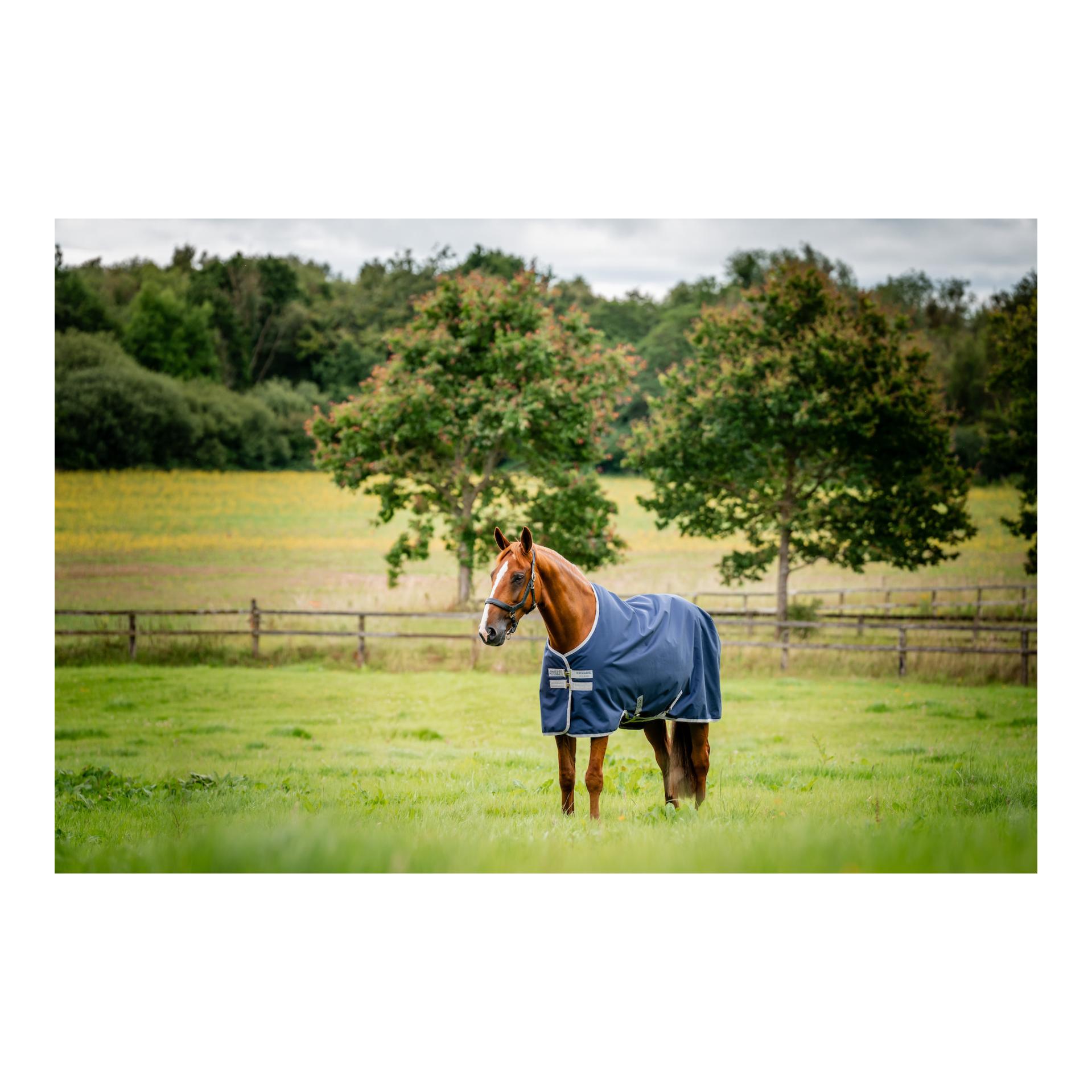 Weidedecke Ripstop Amigo Orig 100g