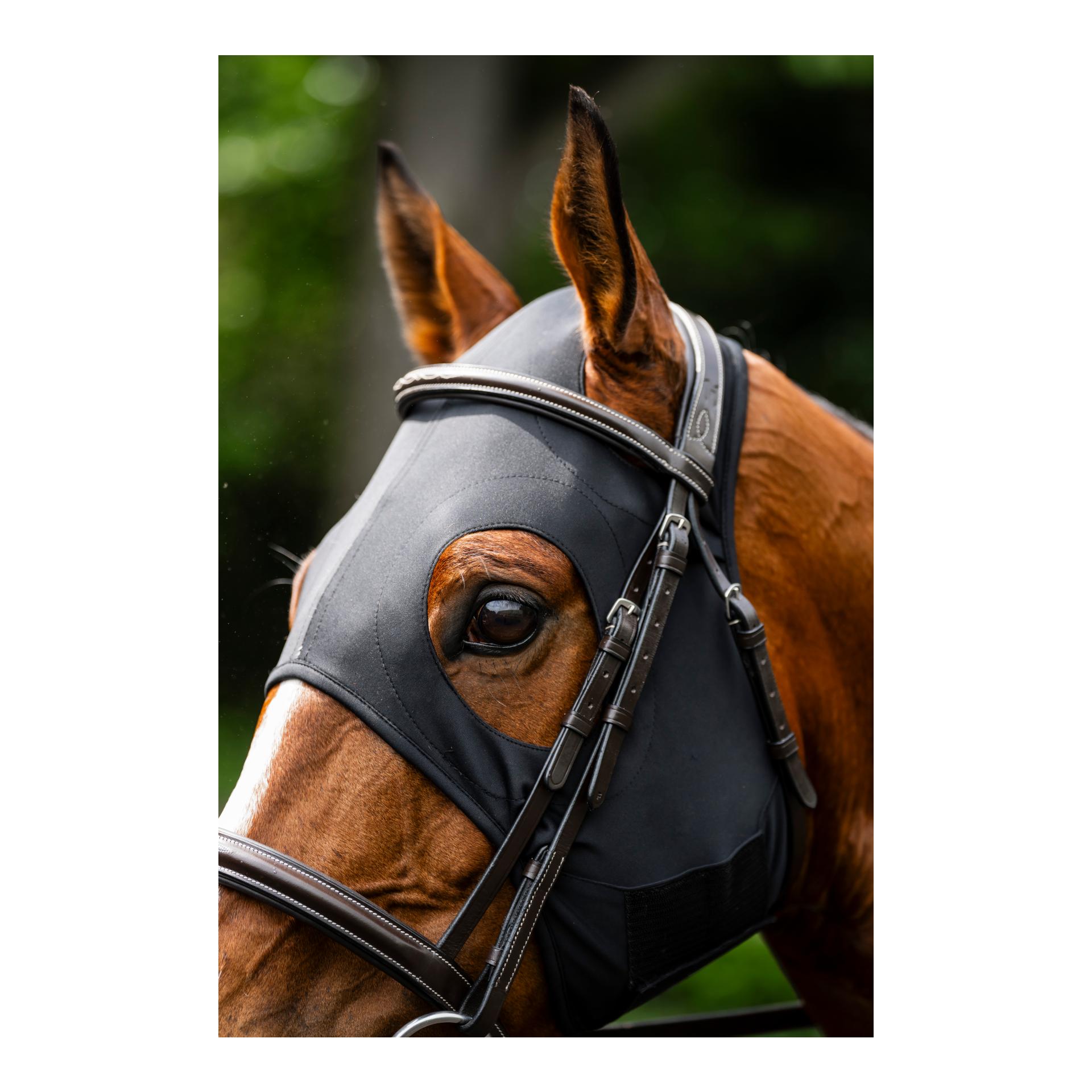 Ionic Calming Face Mask