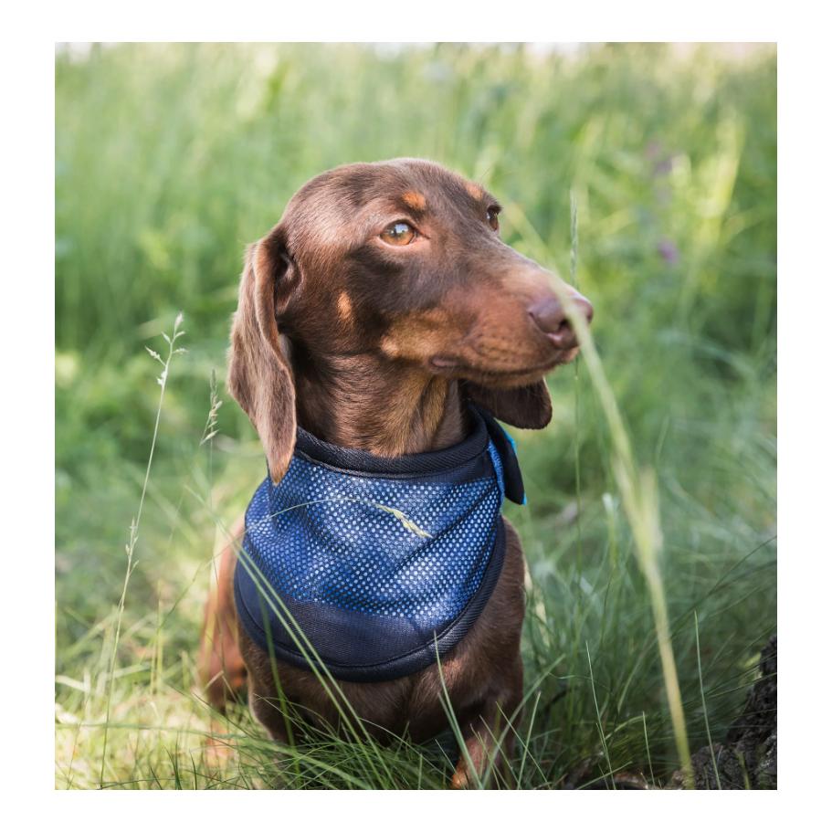 Cooling Bandana