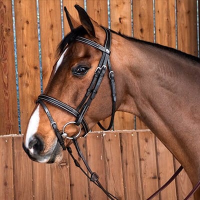 Englisch _ Kombiniert _ Schwedisch Englisch _ Kombiniert _ Schwedisch