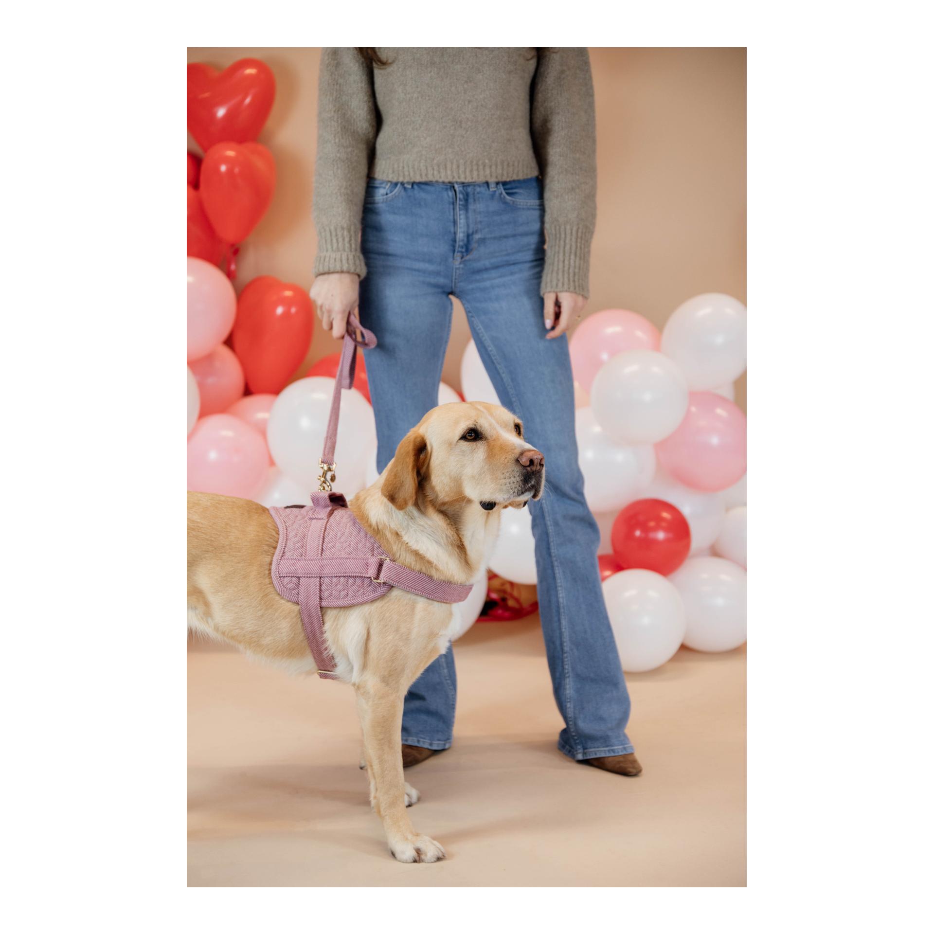 Hundeleine Wool - rosa/pink Hundeleine Wool - rosa/pink