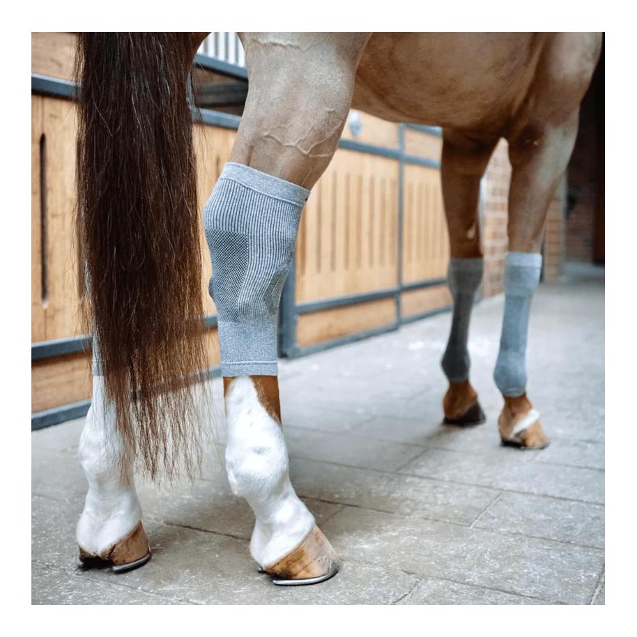 Incrediwear Equine Strümpfe Circulation kurz (Paar)