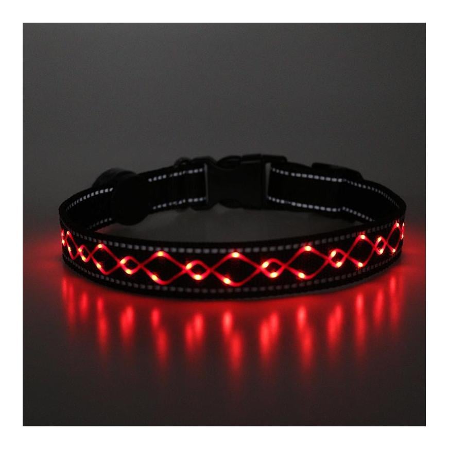 Collier lumineux pour chien "Beauty"