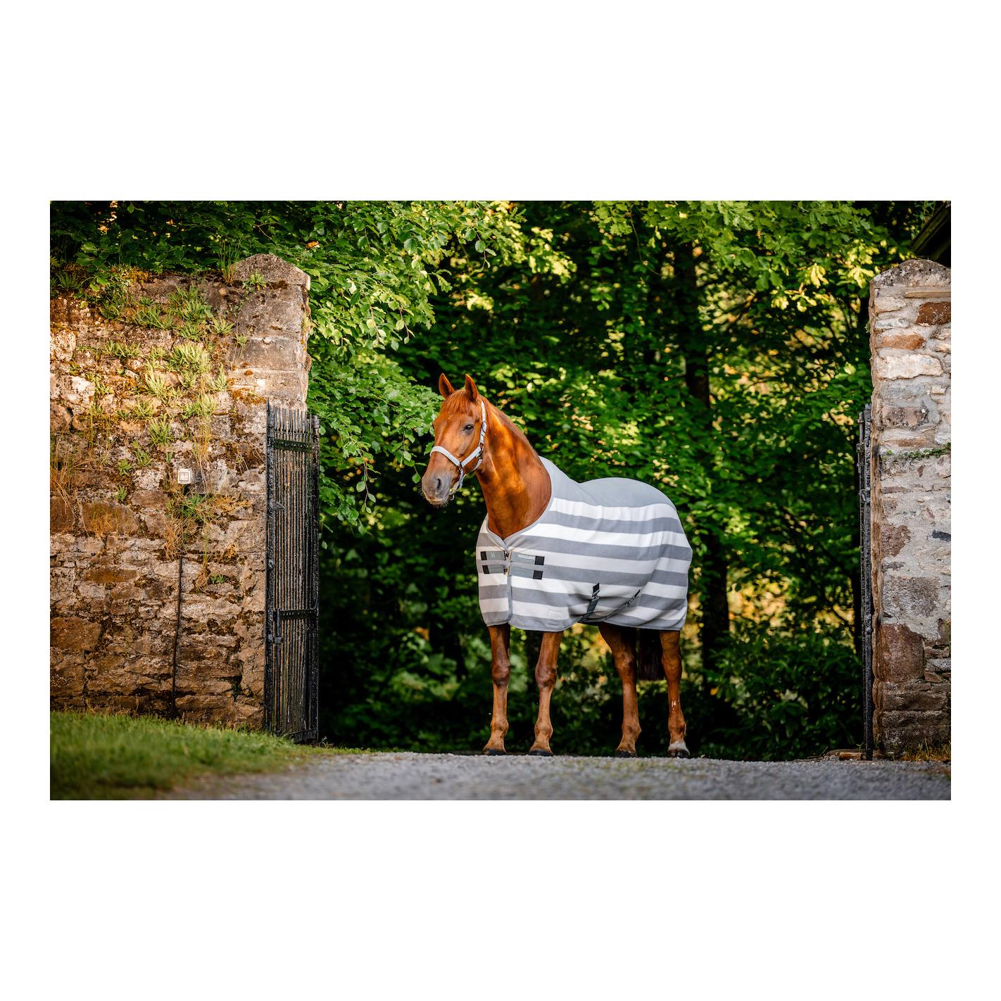 Abschwitzdecke Cooler Newmarket 