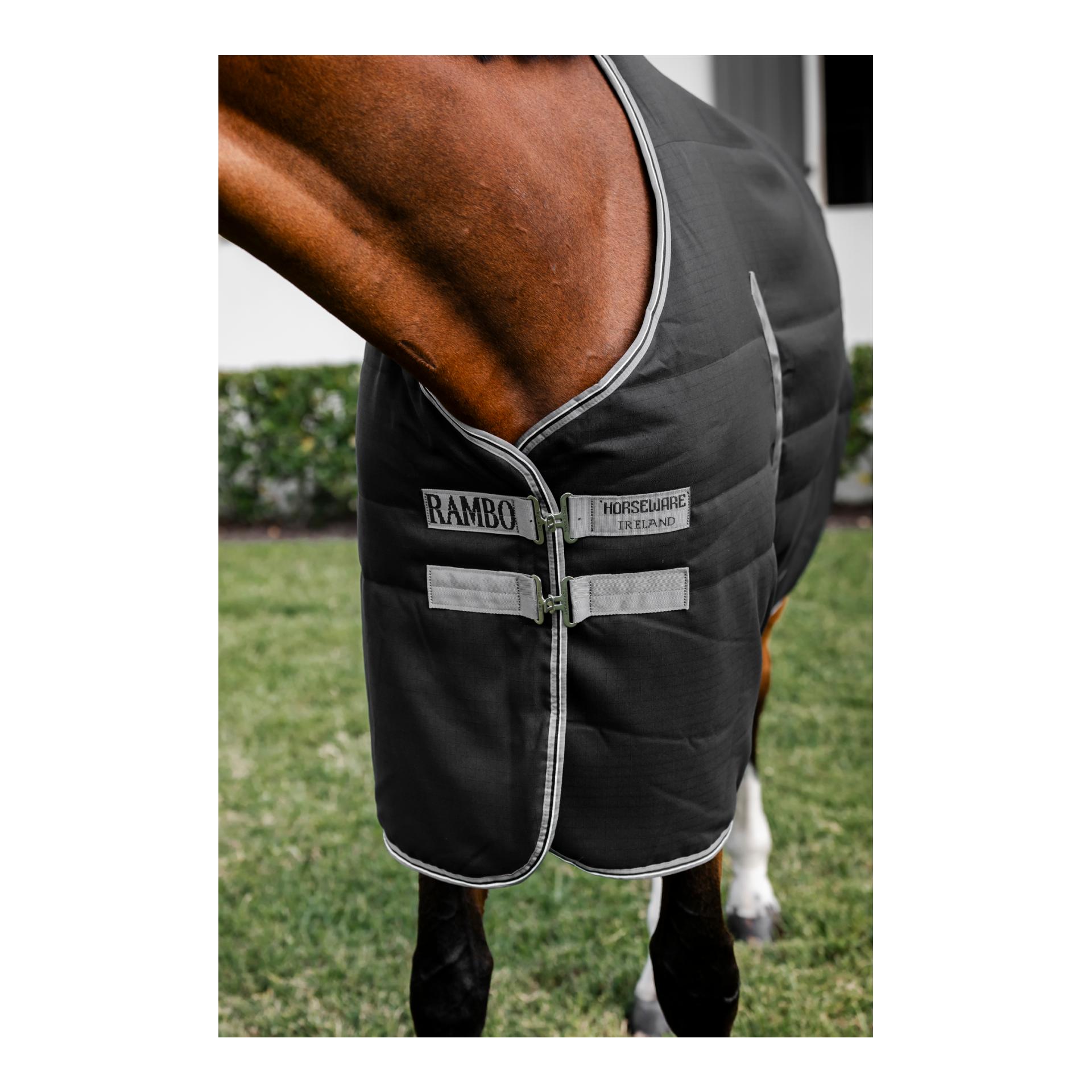 Stalldecke Rambo 400g