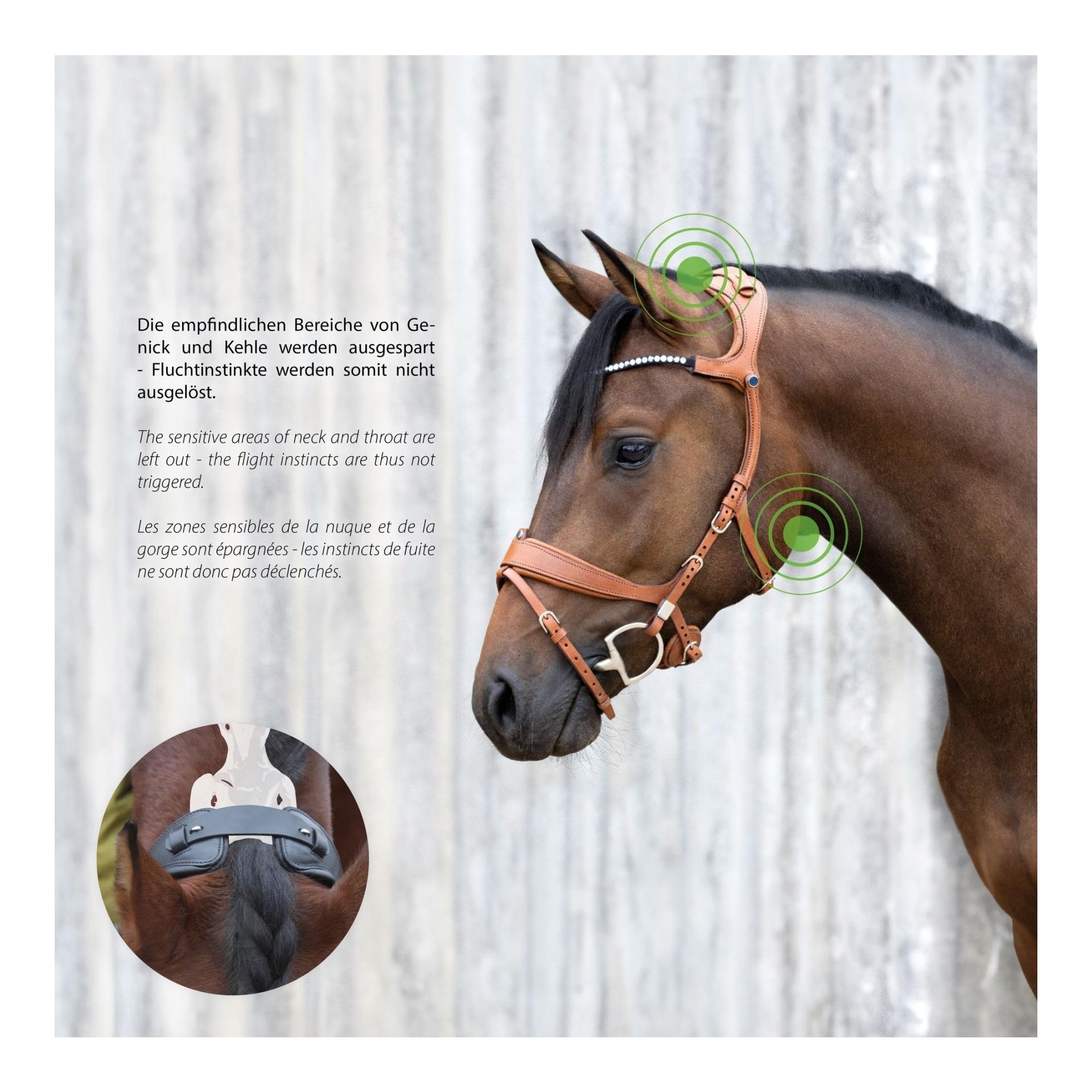 Zaum Freedom II Magic Tack mit Slide&Lock Zaum Freedom II Magic Tack mit Slide&Lock