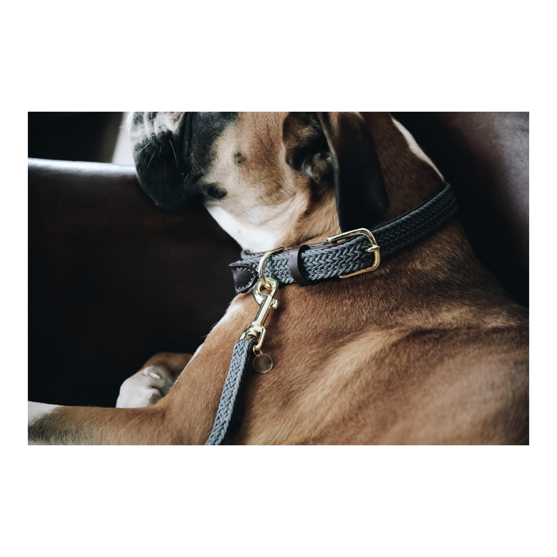 Hundehalsband Nylon geflochten - grau Hundehalsband Nylon geflochten - grau