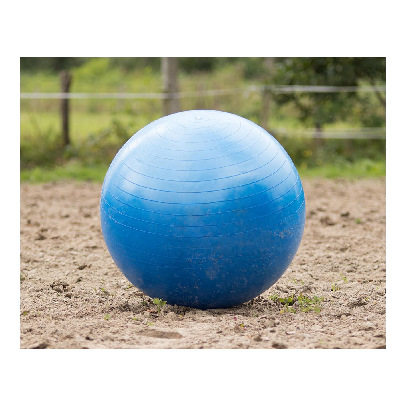 Pferdeball