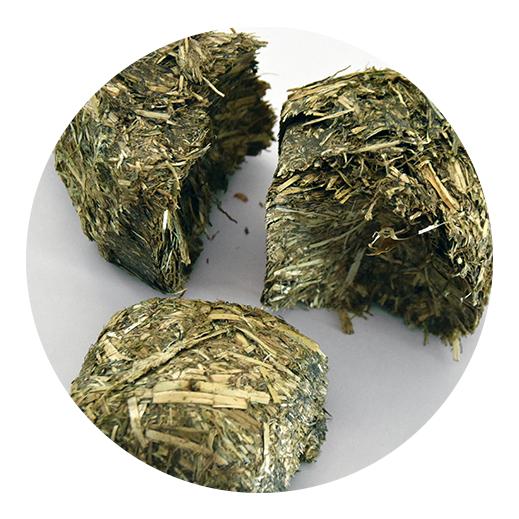 H 893 Complete-Balls