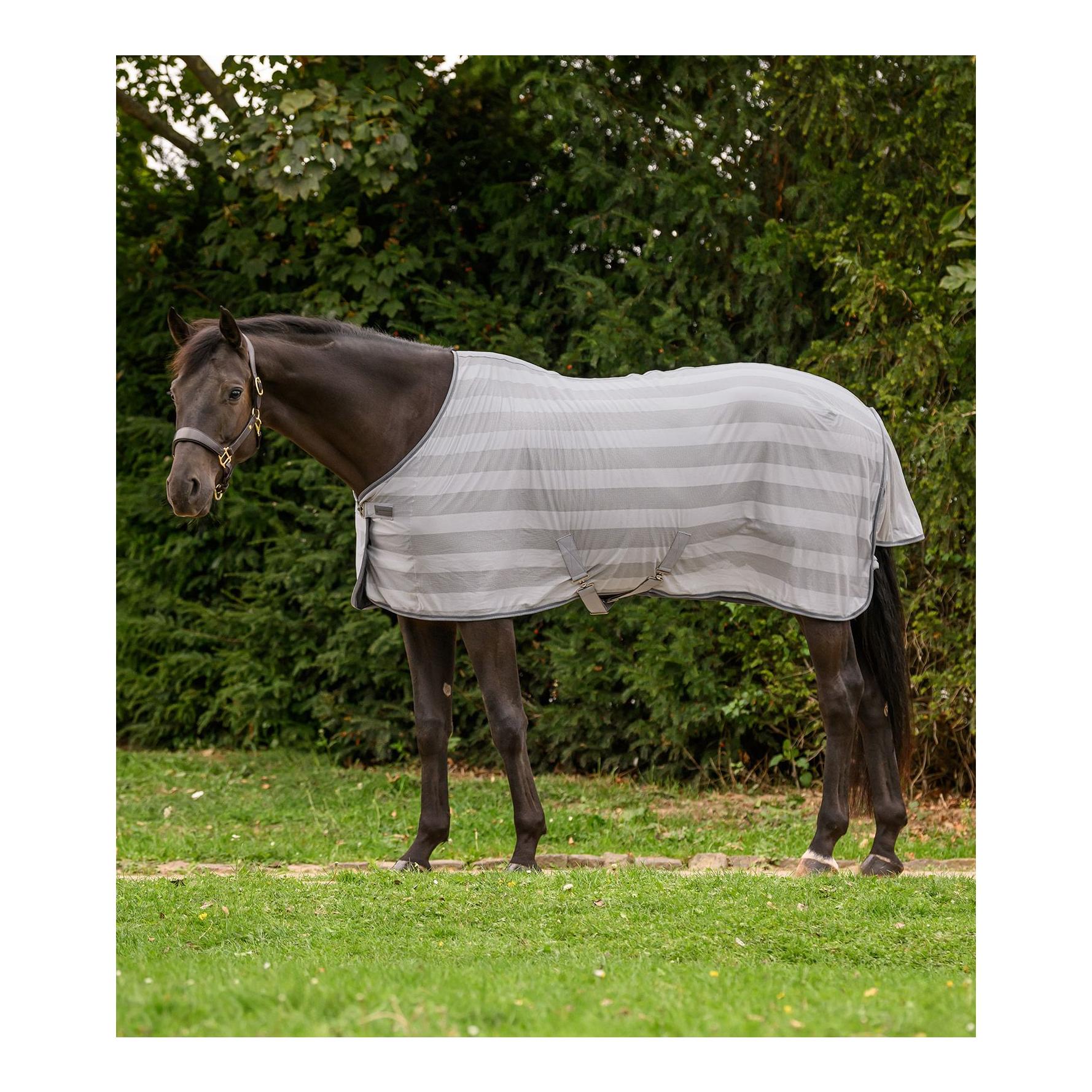 Fliegendecke Economic Kreuzbegurtung