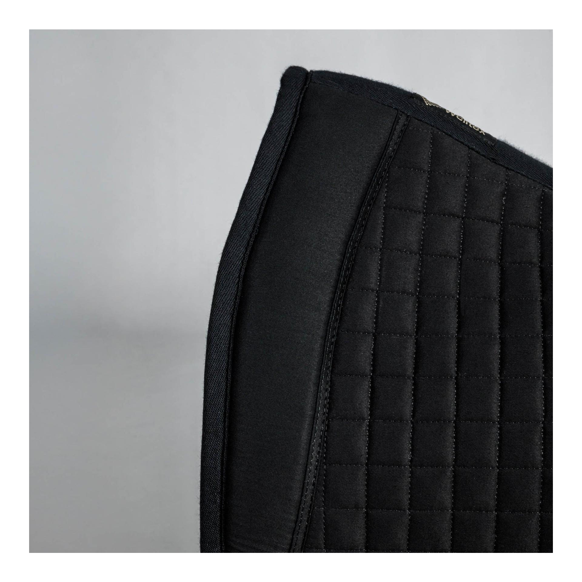 Chabraque de dressage No. III