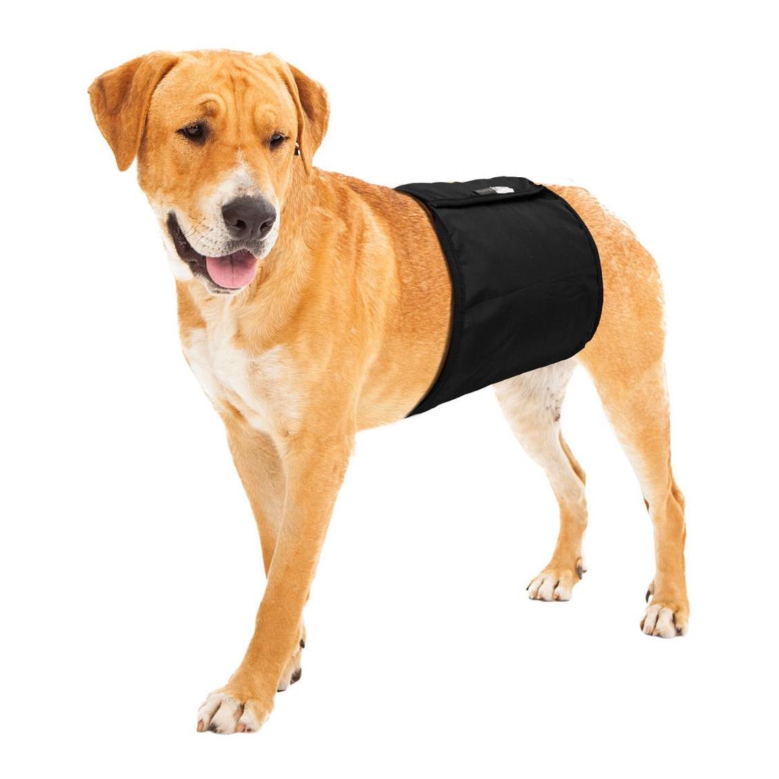 Rüden Hundeschutzhose Rüden Hundeschutzhose