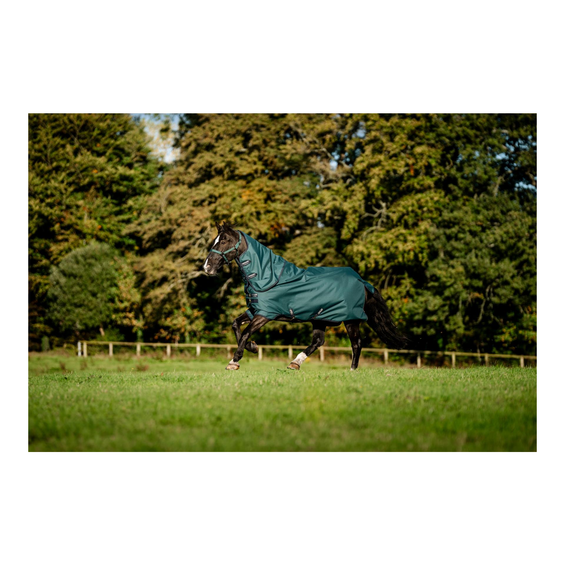 Weidedecke Amigo Ripstop 900D Plus Turnout 0g