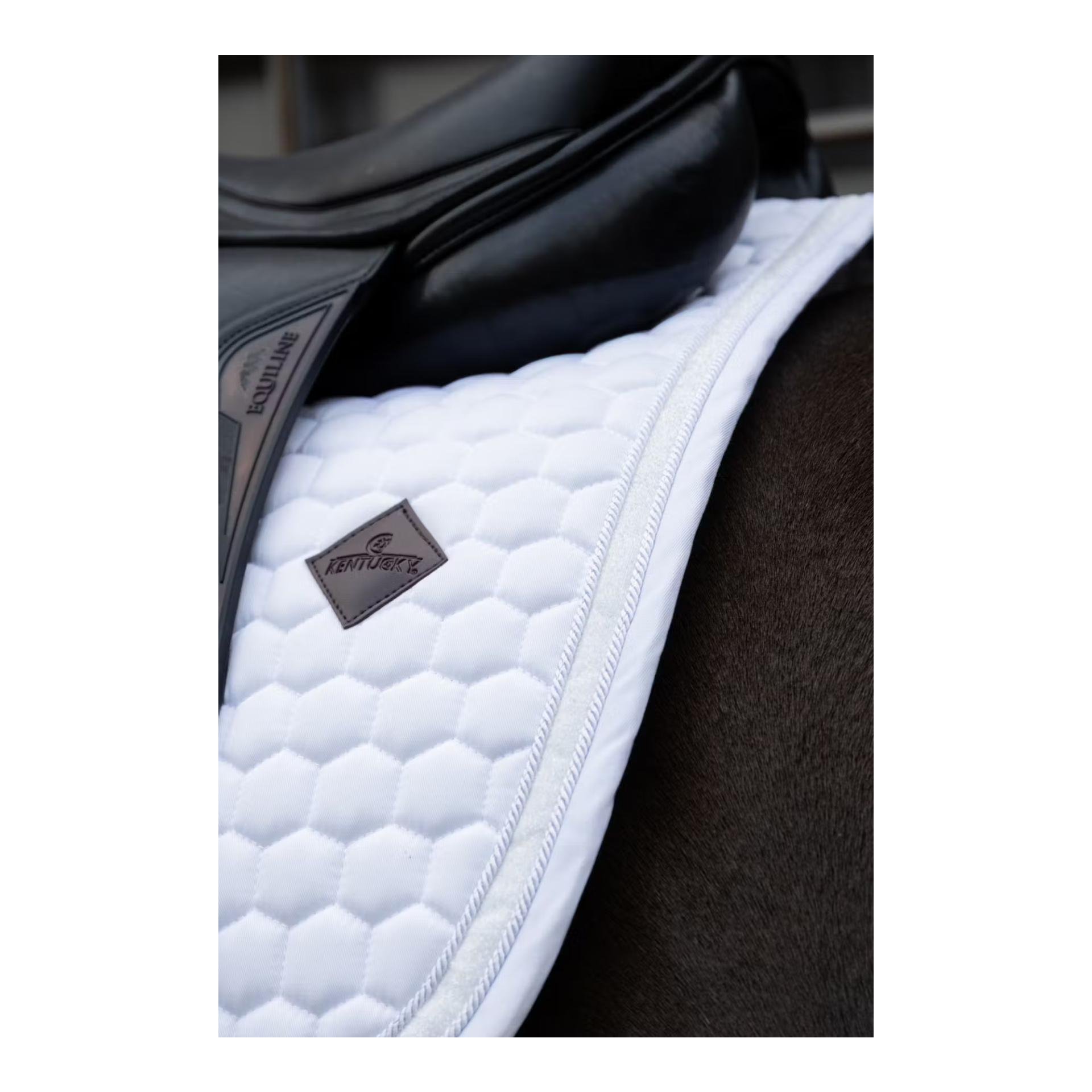Schabracke glitzer band Dressur Schabracke glitzer band Dressur