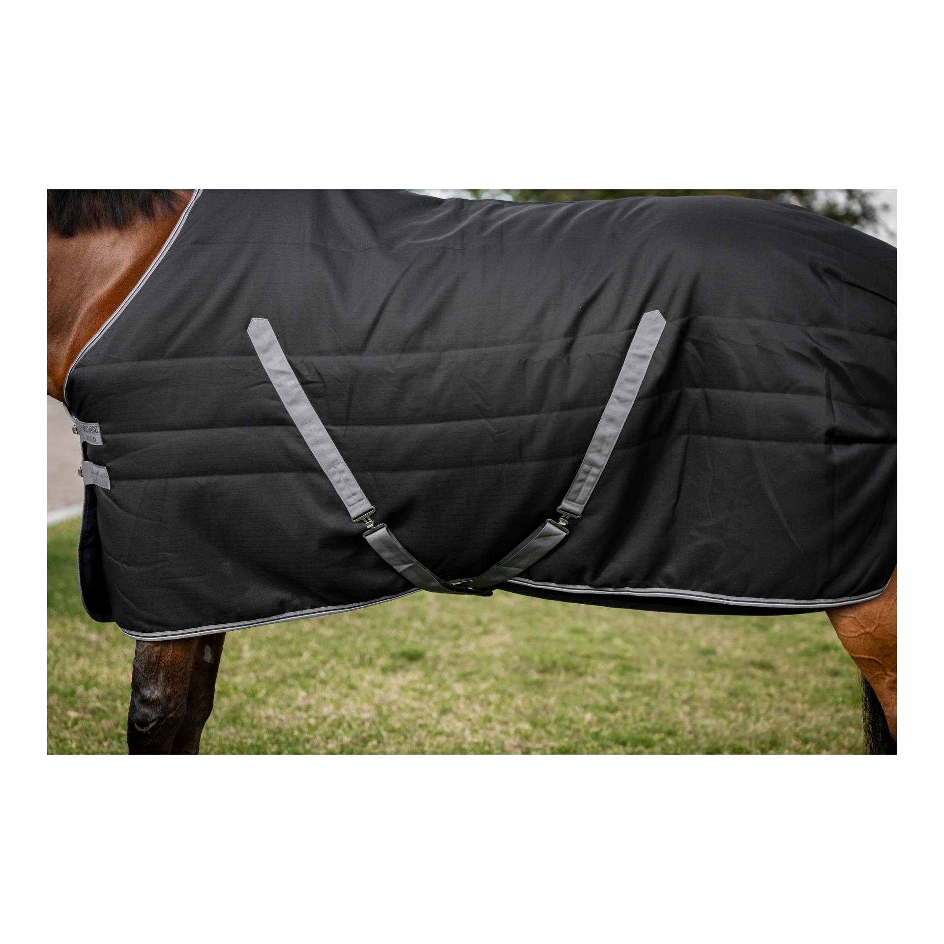 Stalldecke Rambo 100g