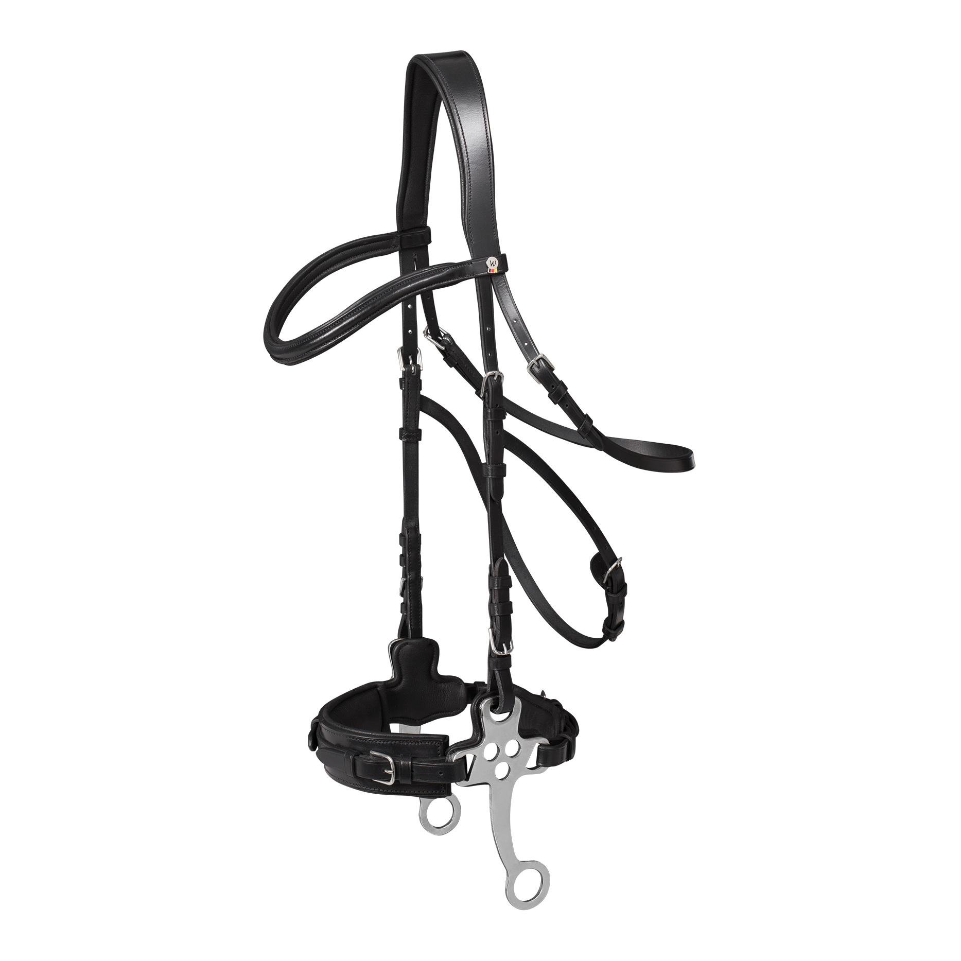 Hackamore Trensenzaum Hackamore Trensenzaum