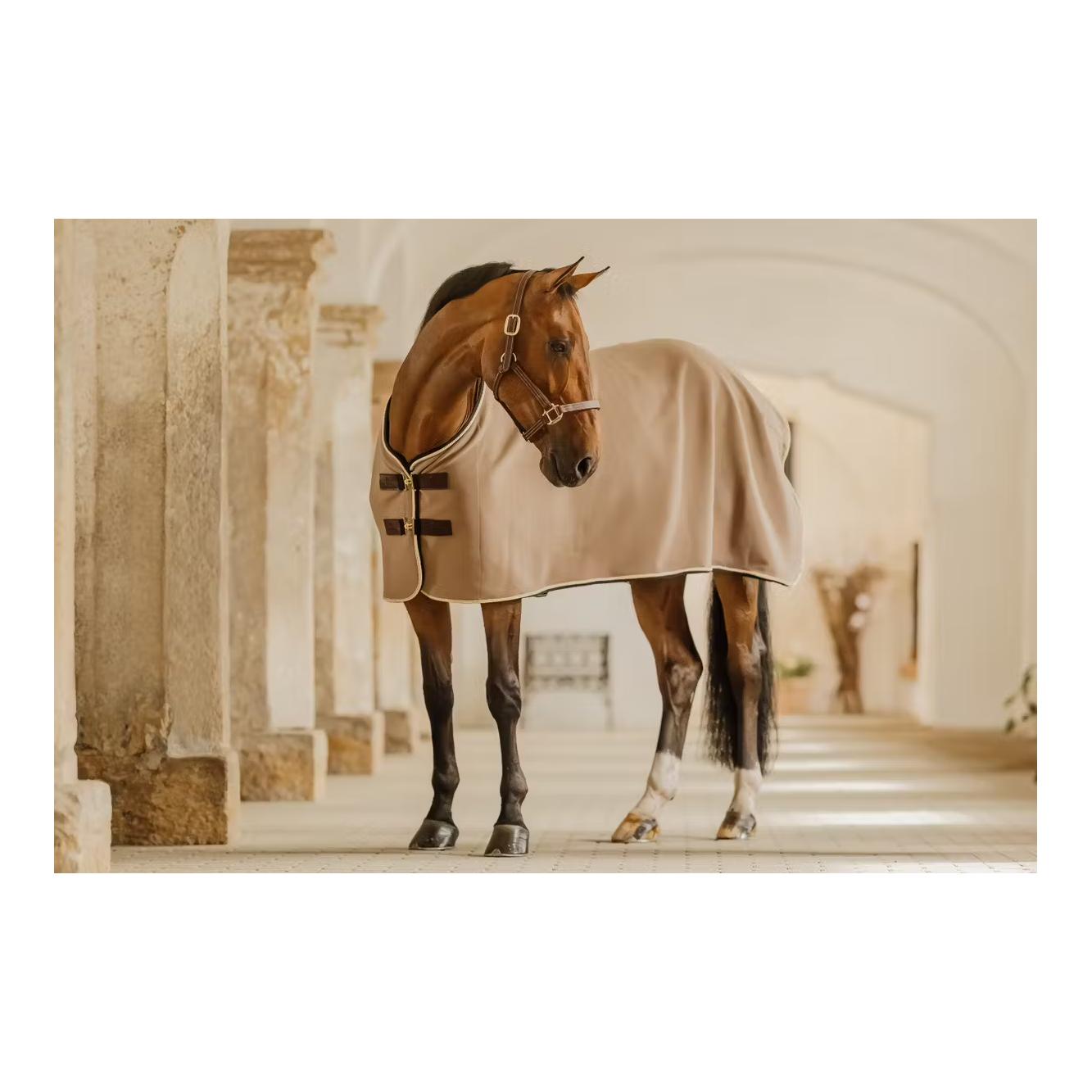 Abschwitzdecke Show vegan wool Abschwitzdecke Show vegan wool
