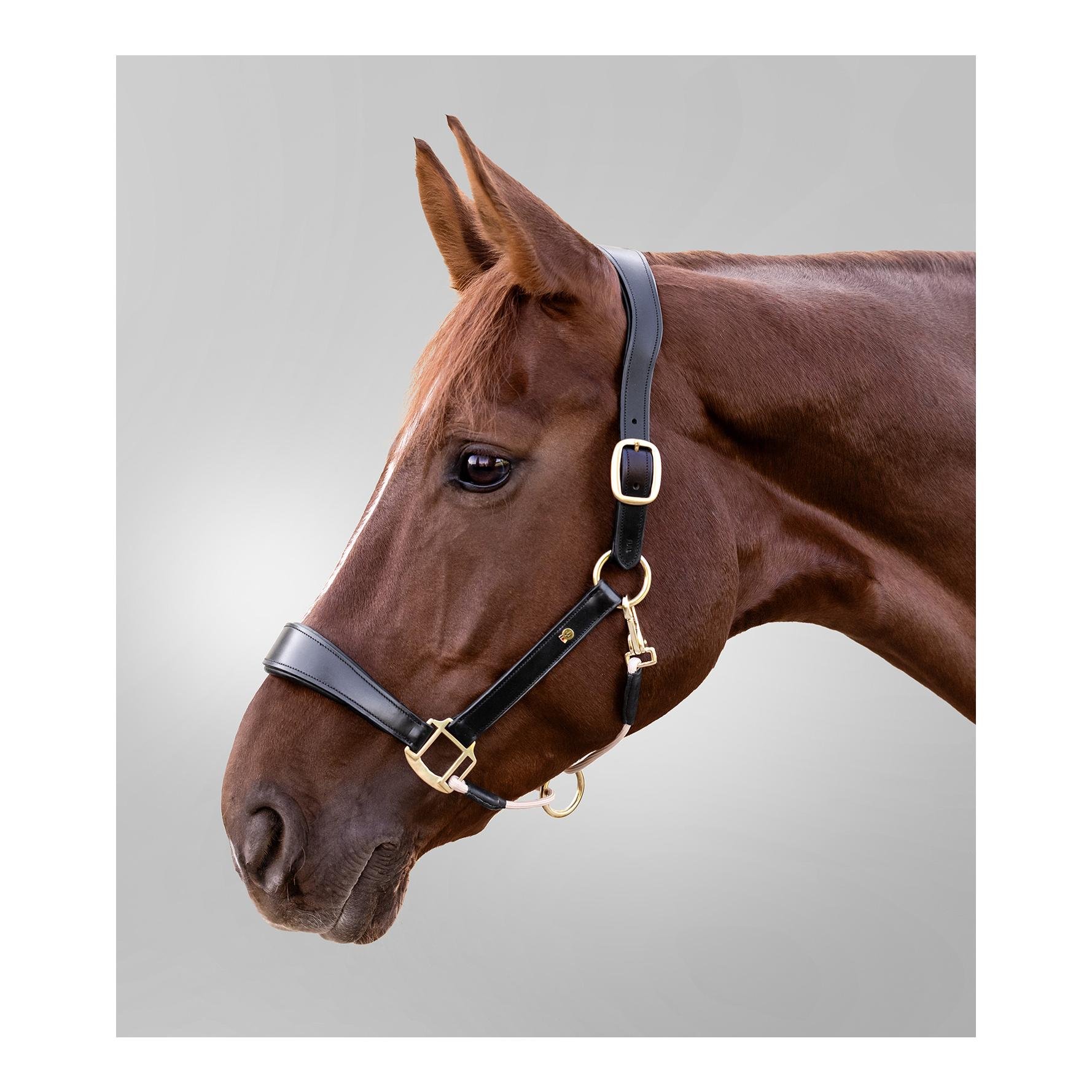 Lederhalfter S-Line Royal