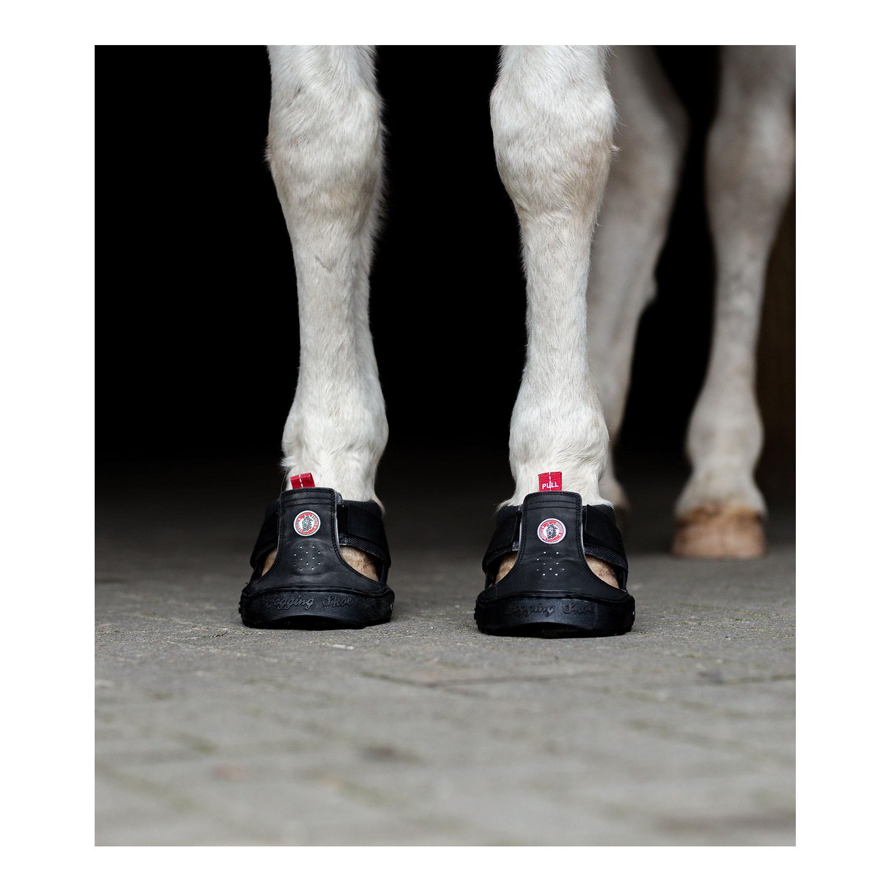 Equine FusionTrekking Shoe Slim Taille chaussure de sabot: 12