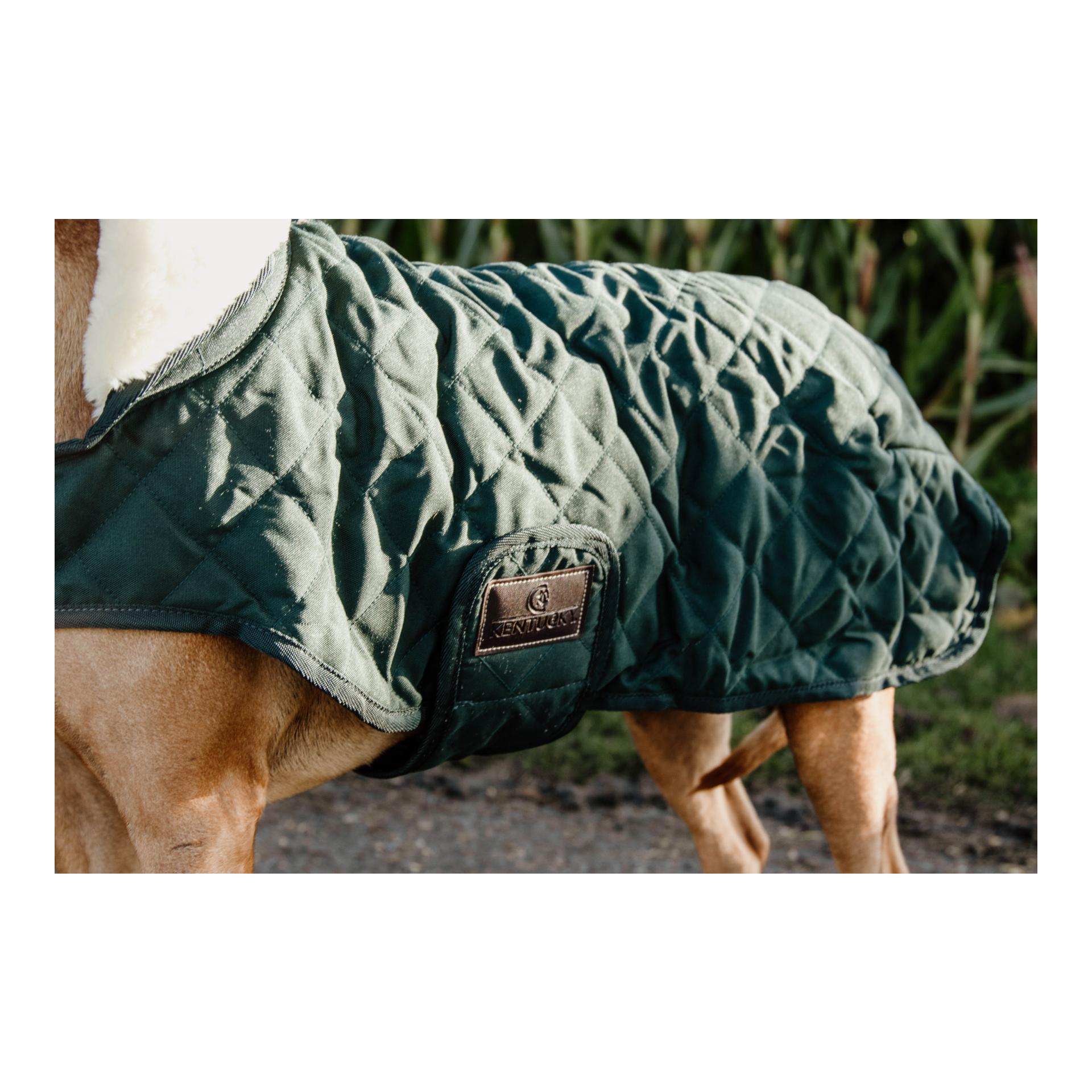 Hundemantel Original - dark green Hundemantel Original - dark green