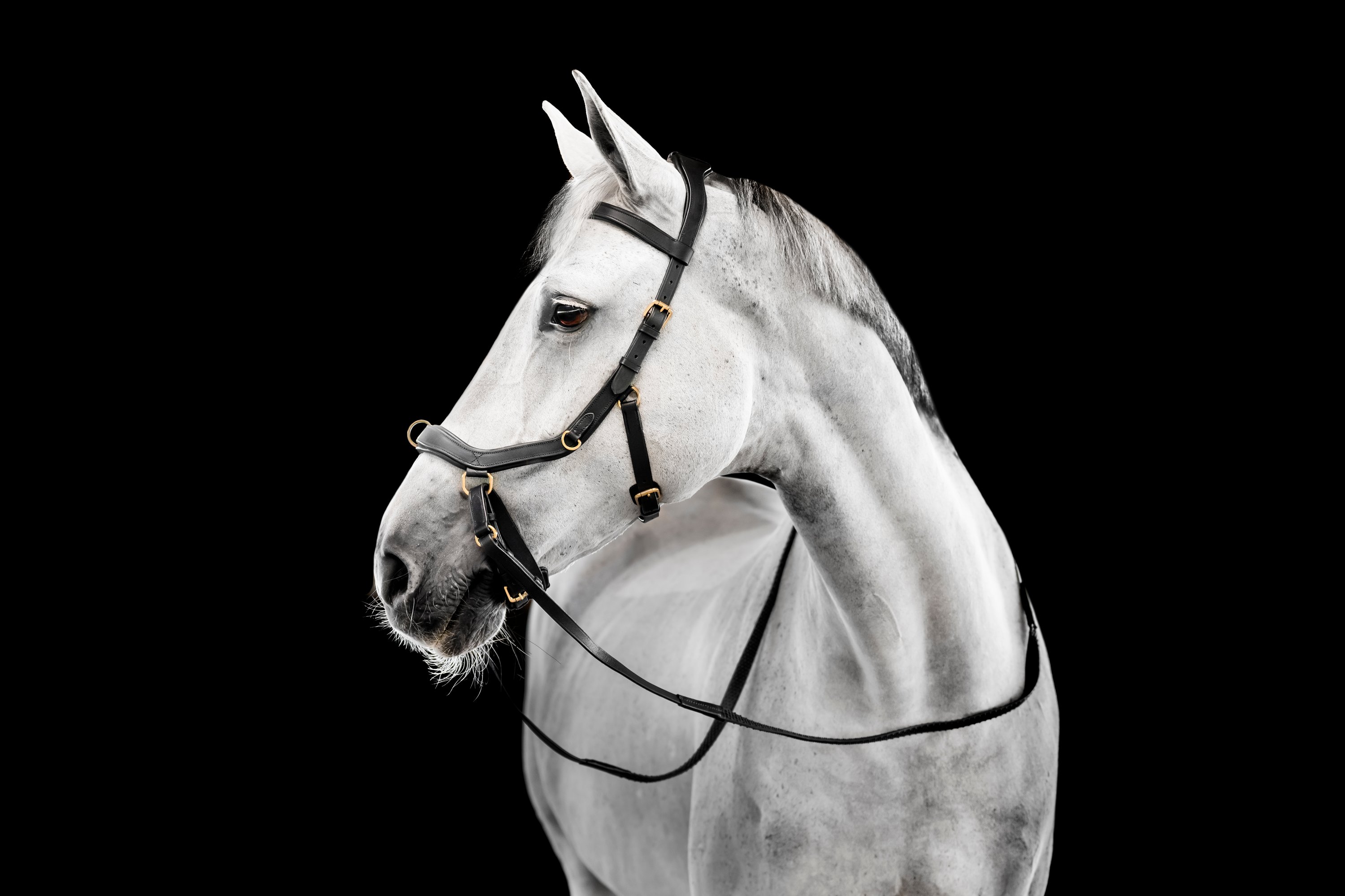 Horseware Bridon Micklem Multi