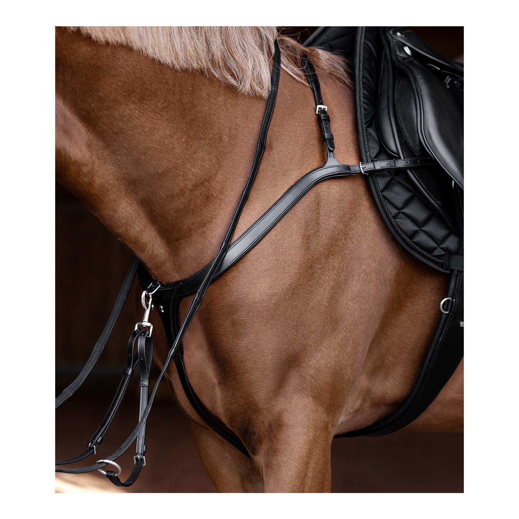 Vorderzeug mit langer Brücke X-Line