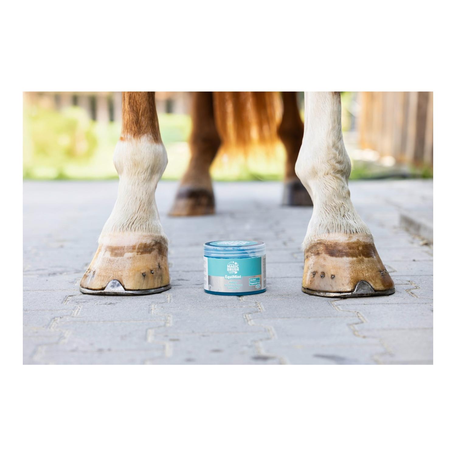 MagicBrush MagicBrush Kühlgel EquiMint