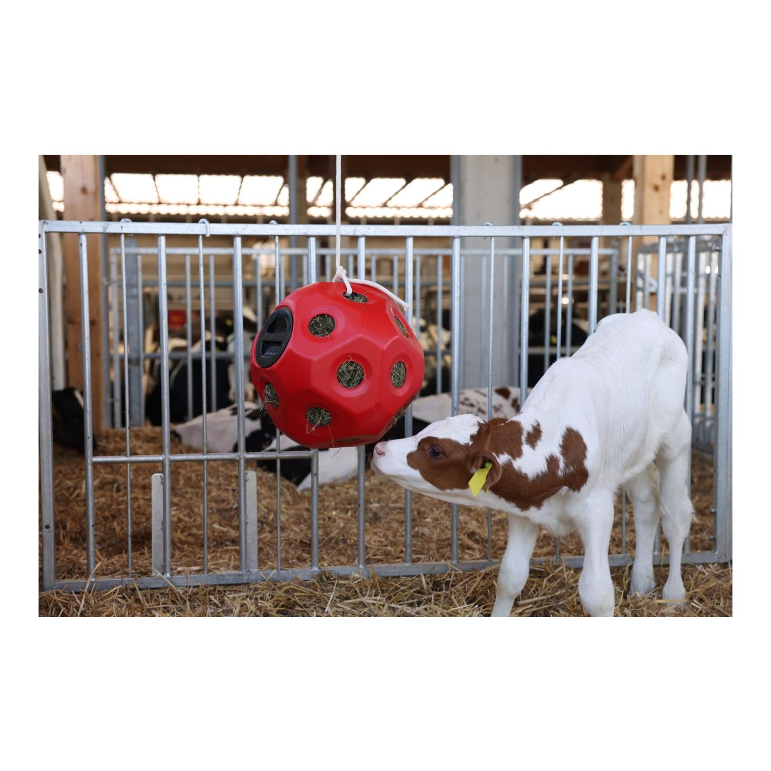 HeuBoy Futterspielball - rot HeuBoy Futterspielball - rot