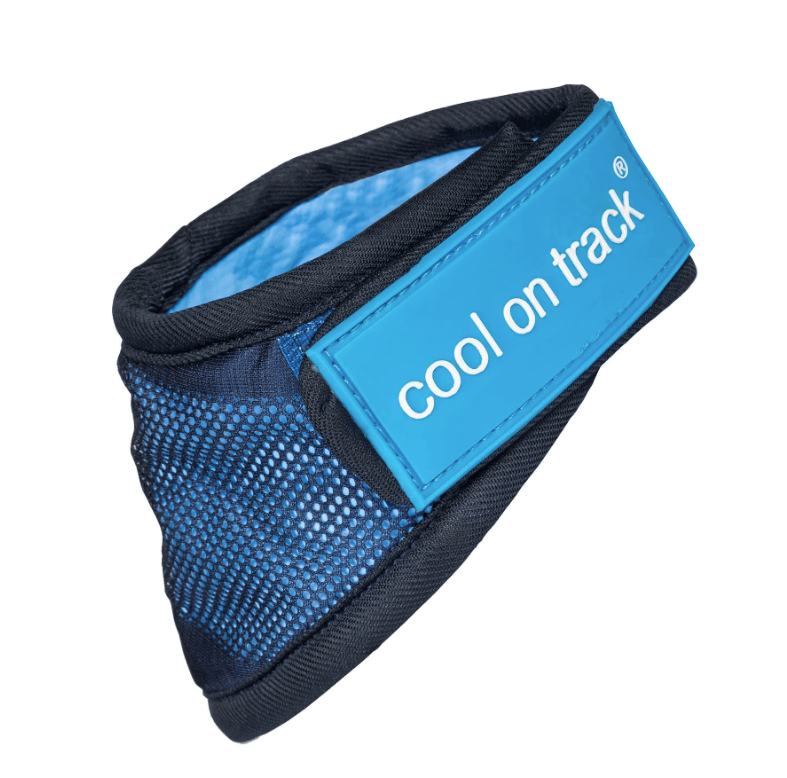 Back on Track Cooling Bandana