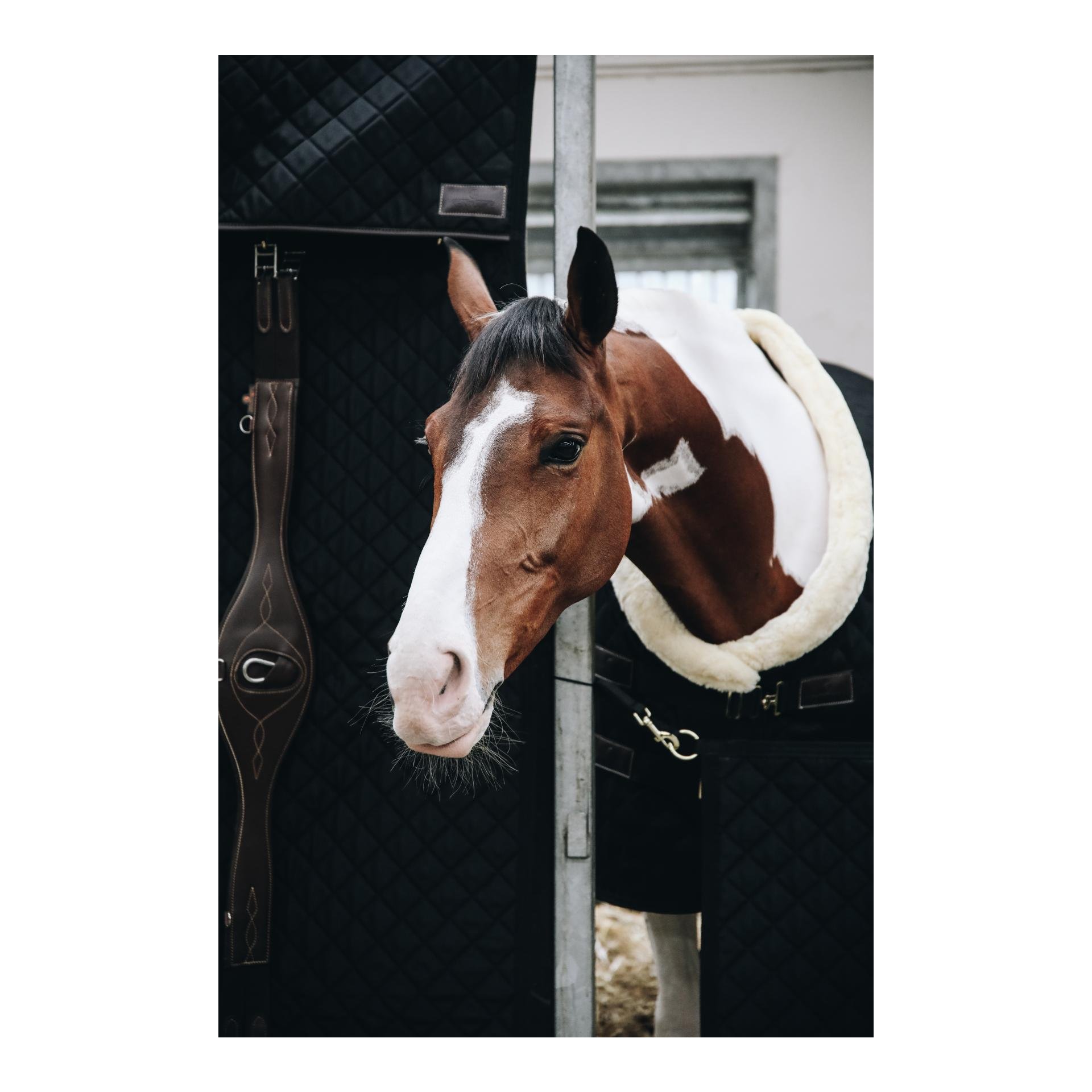 Kentucky Boxentürvohang "stable curtain" 