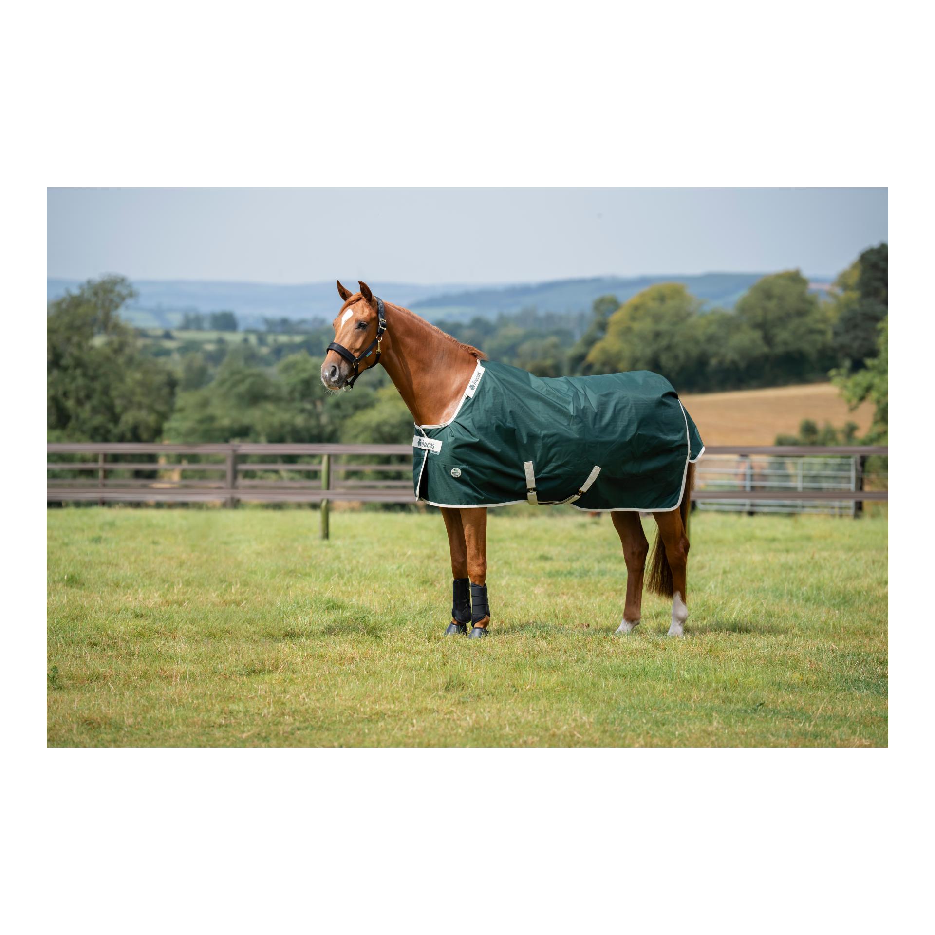 Weidedecke Green-Line Turnout 100g