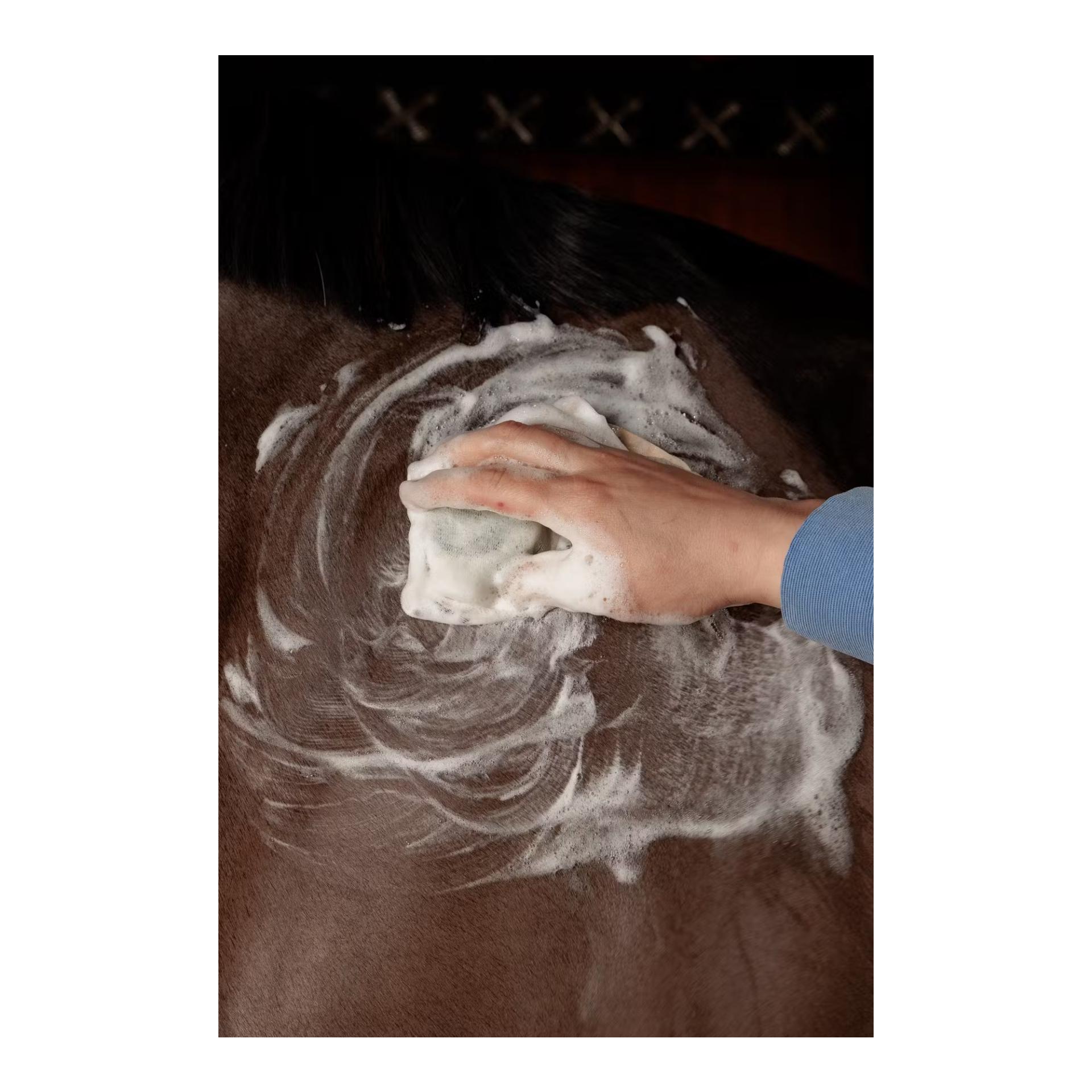 GD Shampoo Bar Mandel