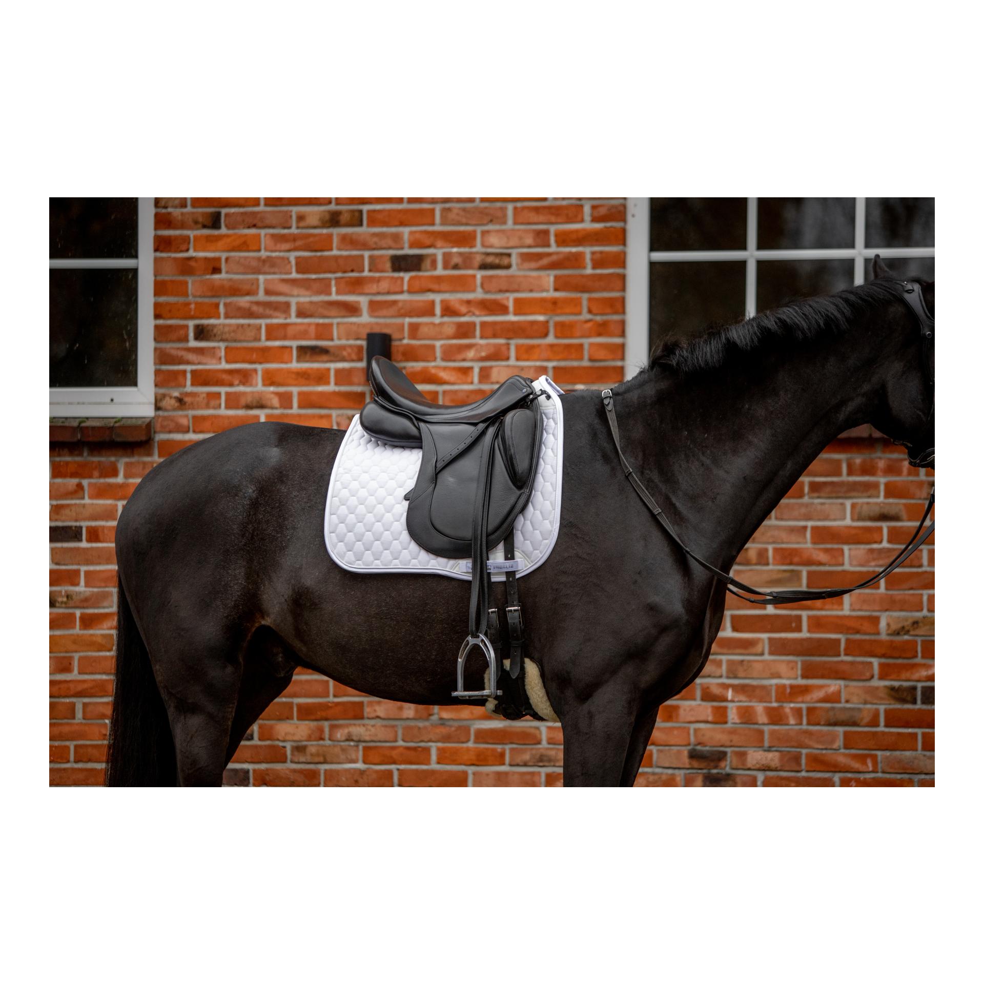 Stübben Streamline Schabracke Dressur GEN2