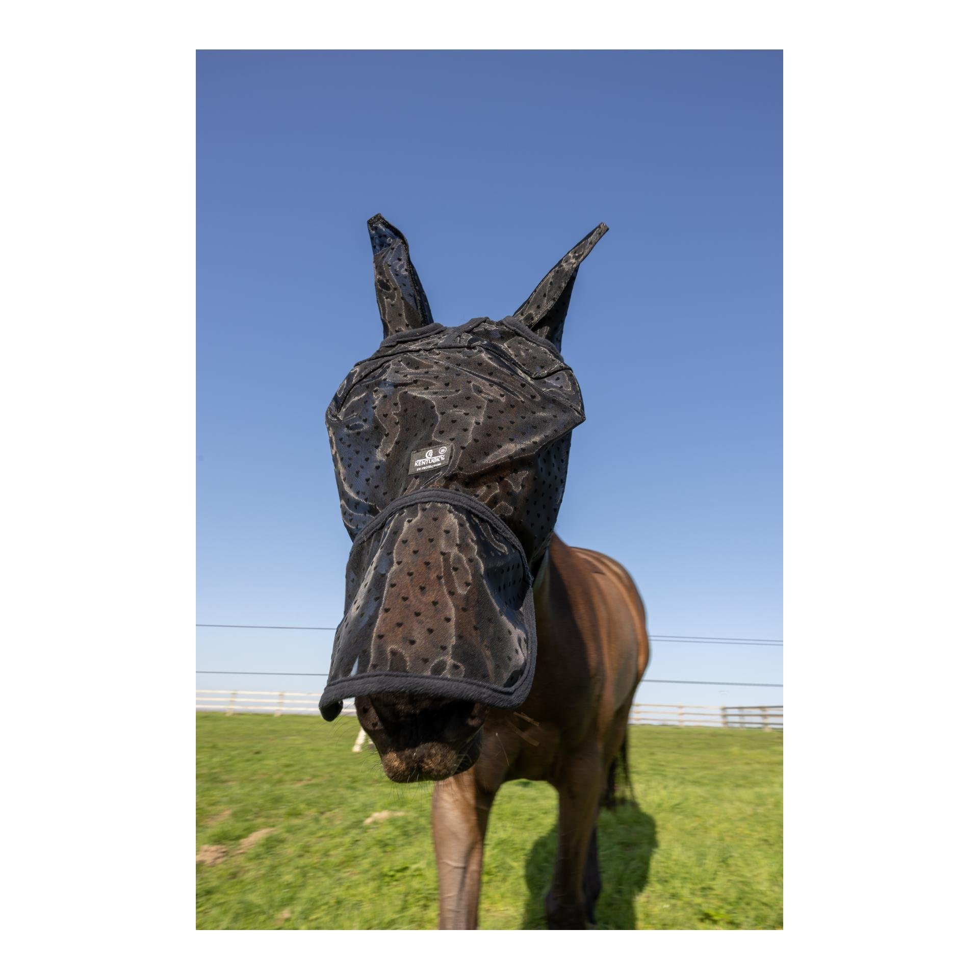 Kentucky Masque anti-mouches cœur avec oreilles et nez