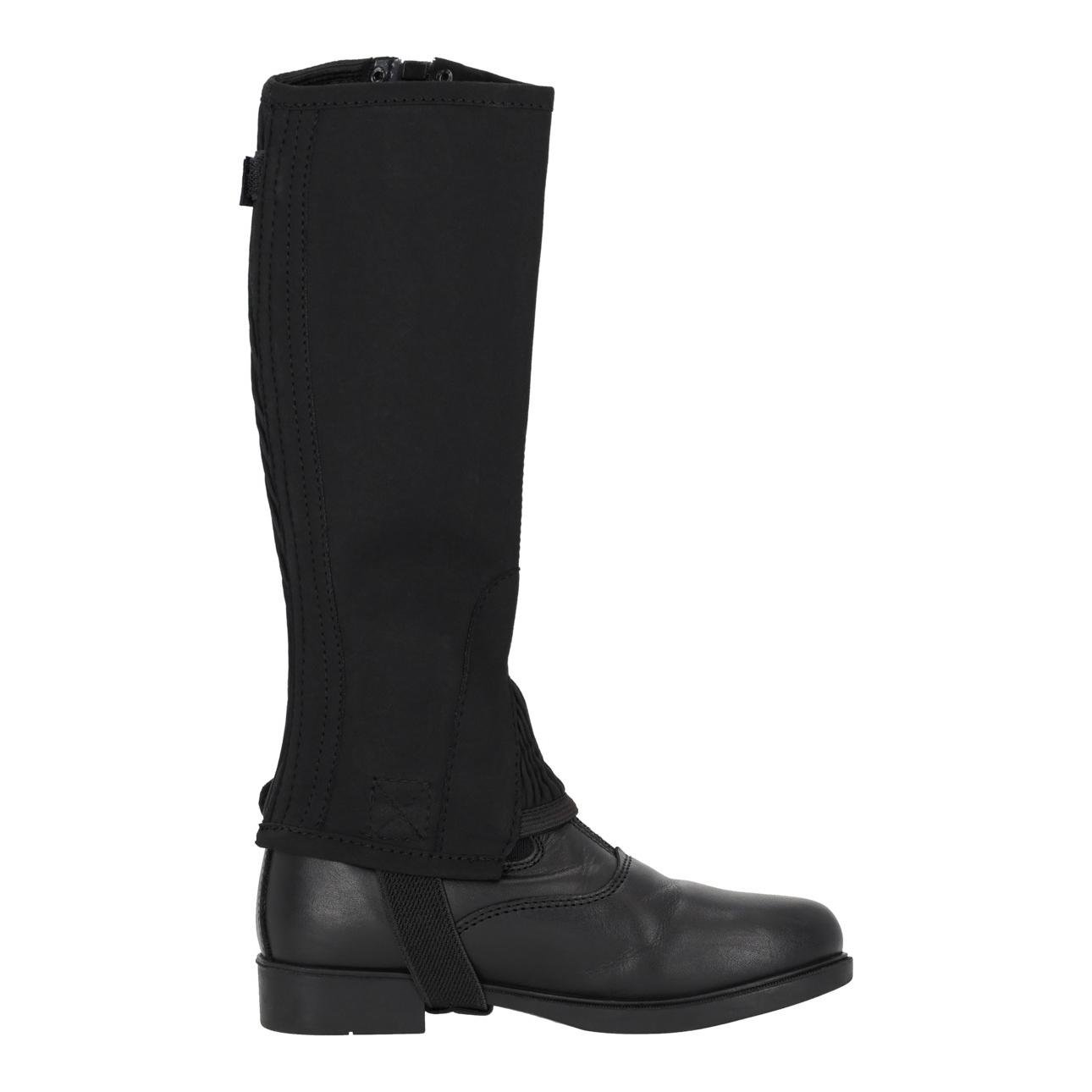 QHP Chap Suede - Reitchaps für Kinder