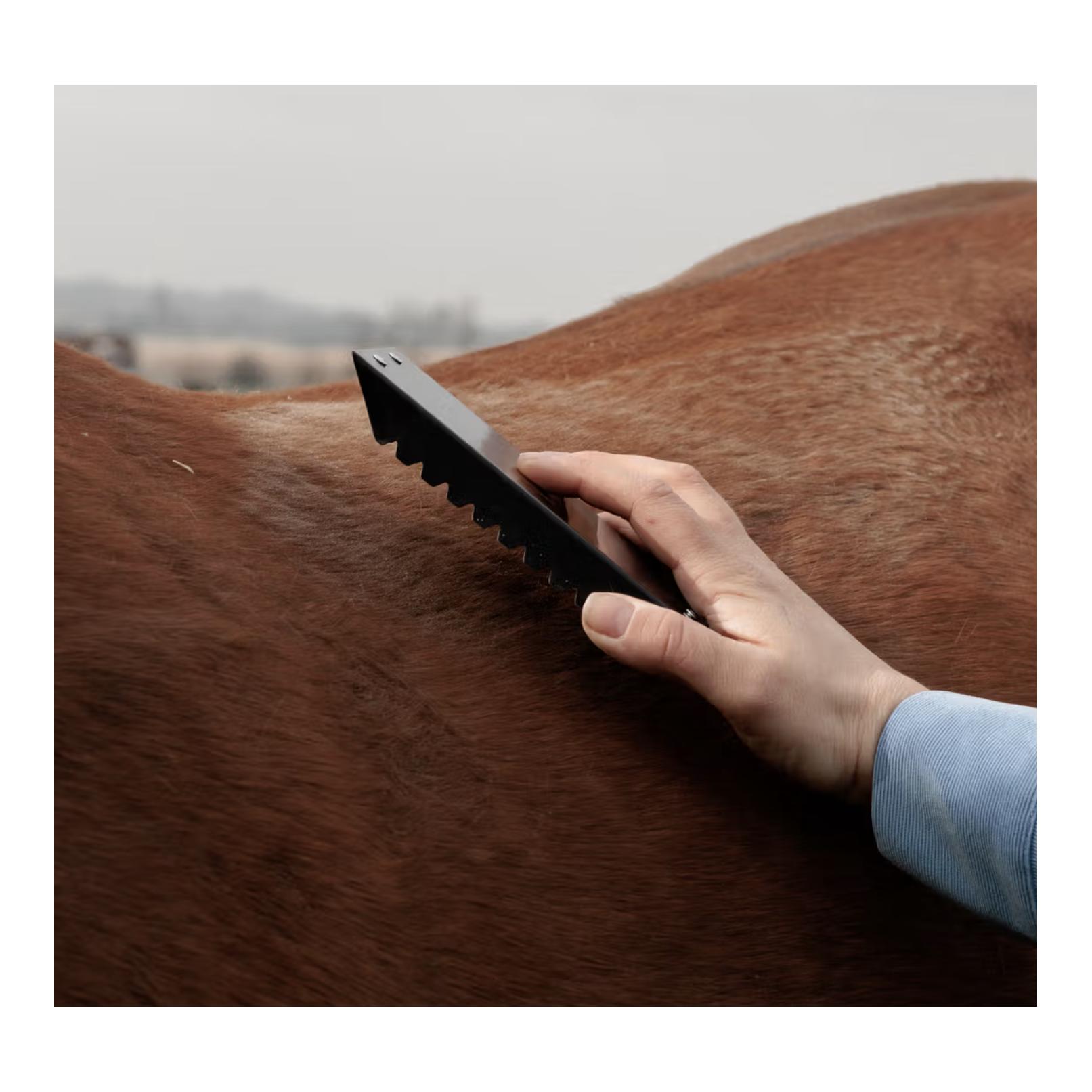 Grooming Deluxe Étrille métallique