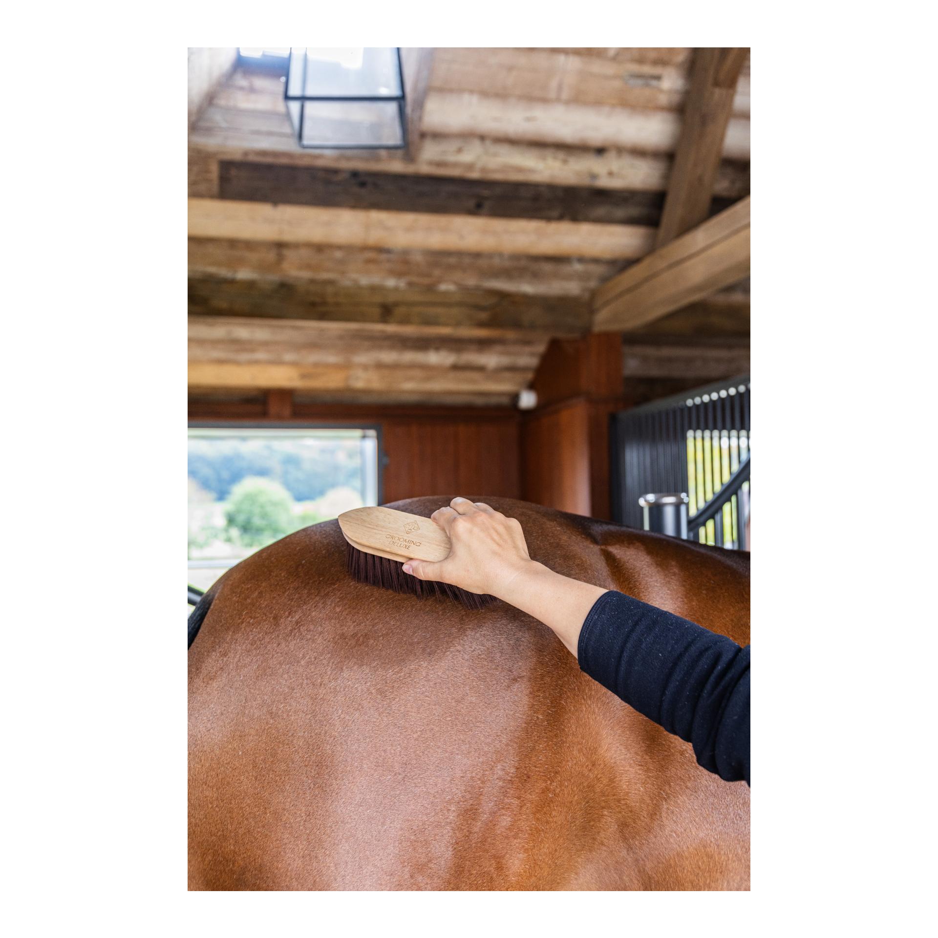 Grooming Deluxe Brosse classique en bois – dureté moyenne